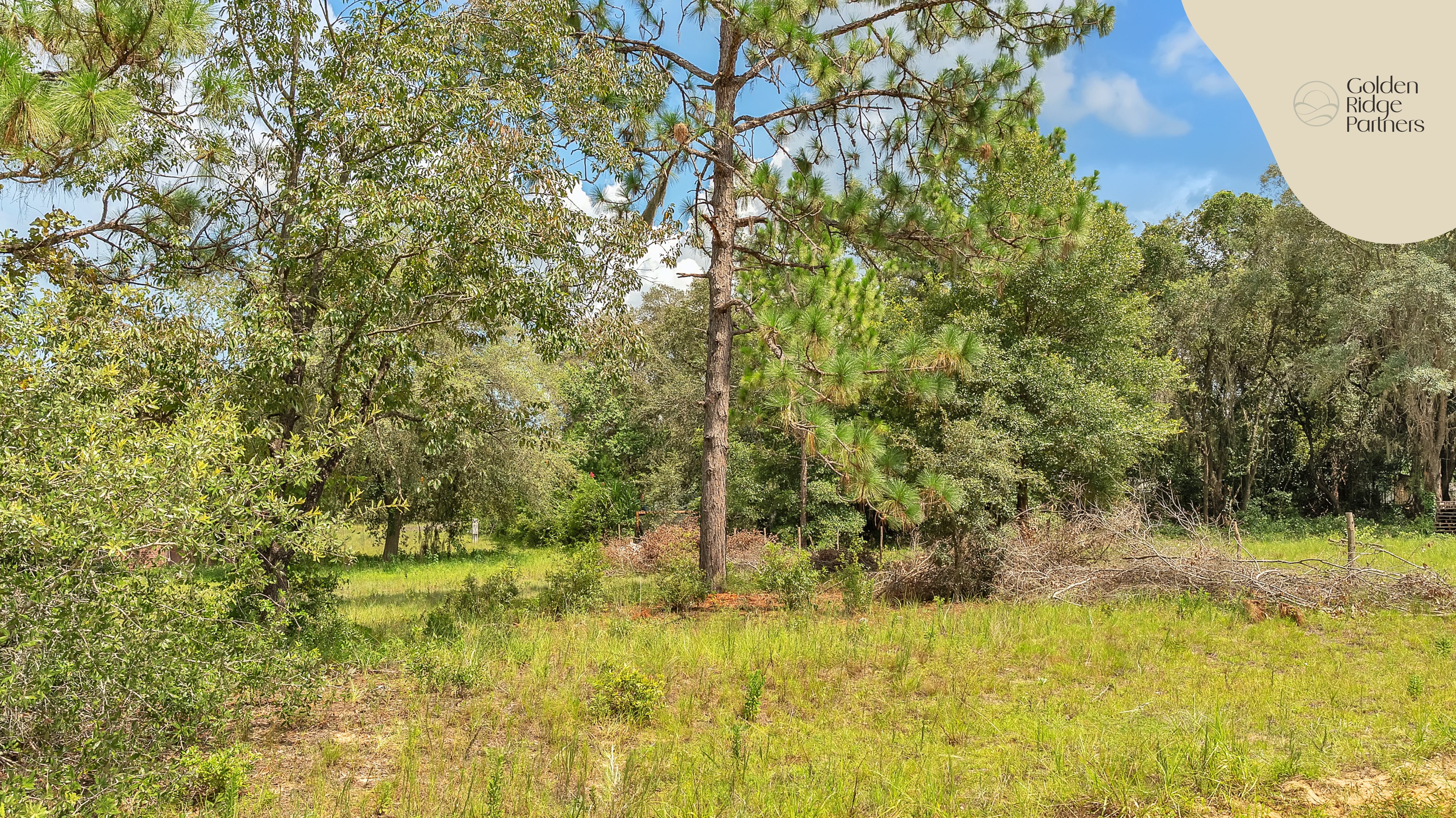 Can You Buy Land with Bad Credit? Yes, Here's How (And Why Your Credit Score Doesn't Matter) By Juliana Scolari | Golden Ridge Partners