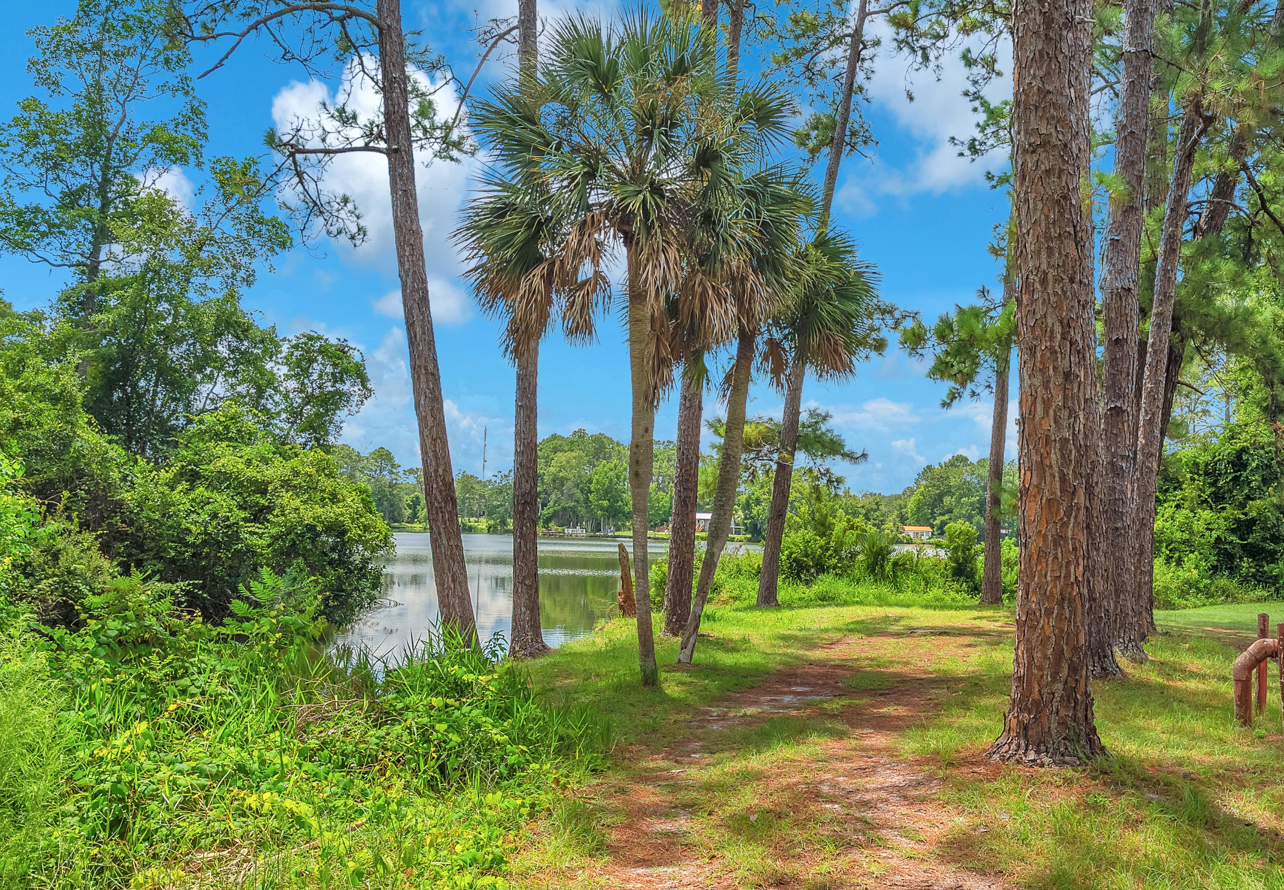 The "Boring" Asset That Outperforms: Why Smart Investors Are Buying Raw Land in 2026 By Juliana Scolari | Golden Ridge Partners