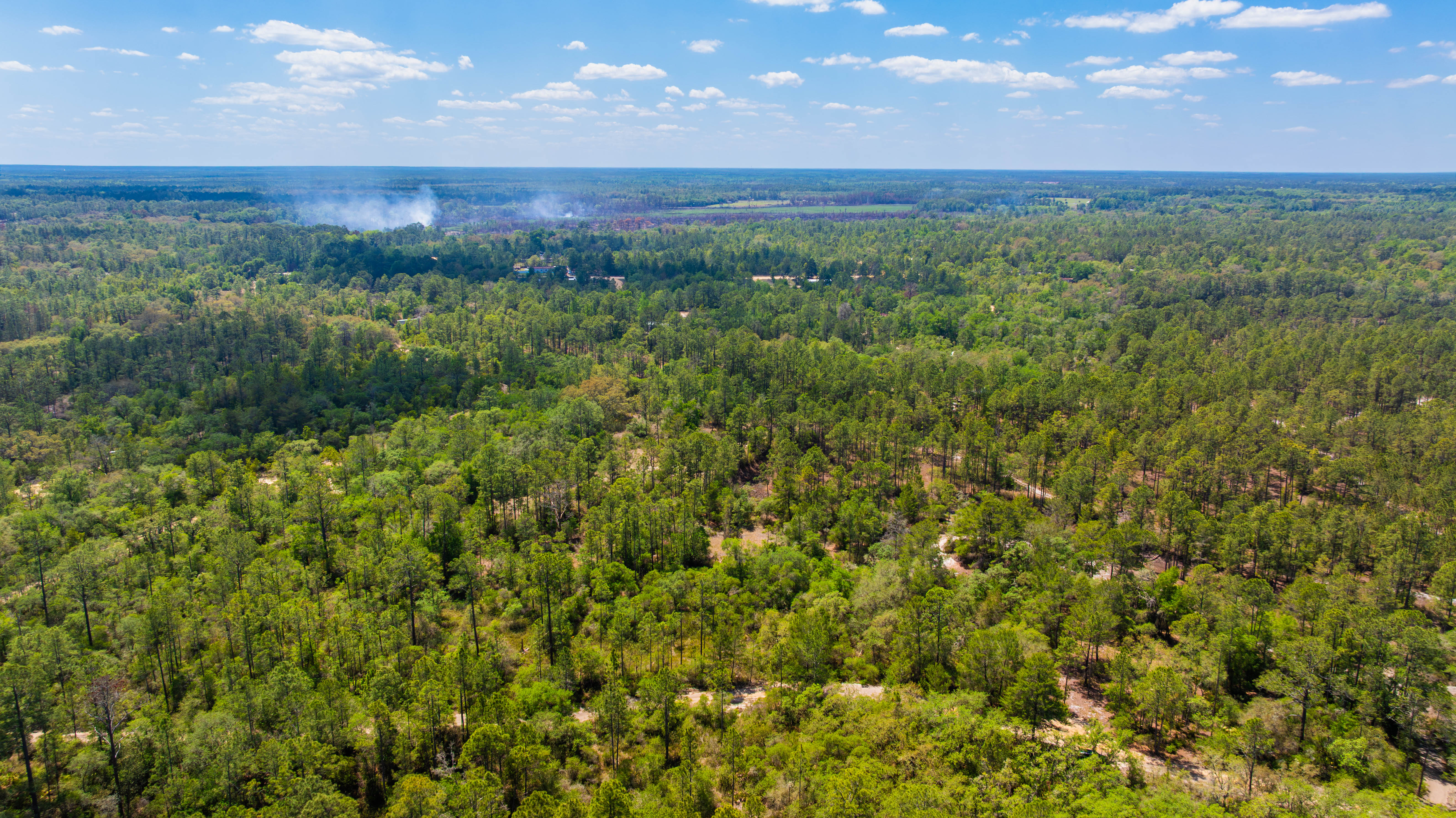 Undeveloped Land vs. a House: What You're Really Buying in Putnam County (And Why Dirt Might Be the Smarter Move)
