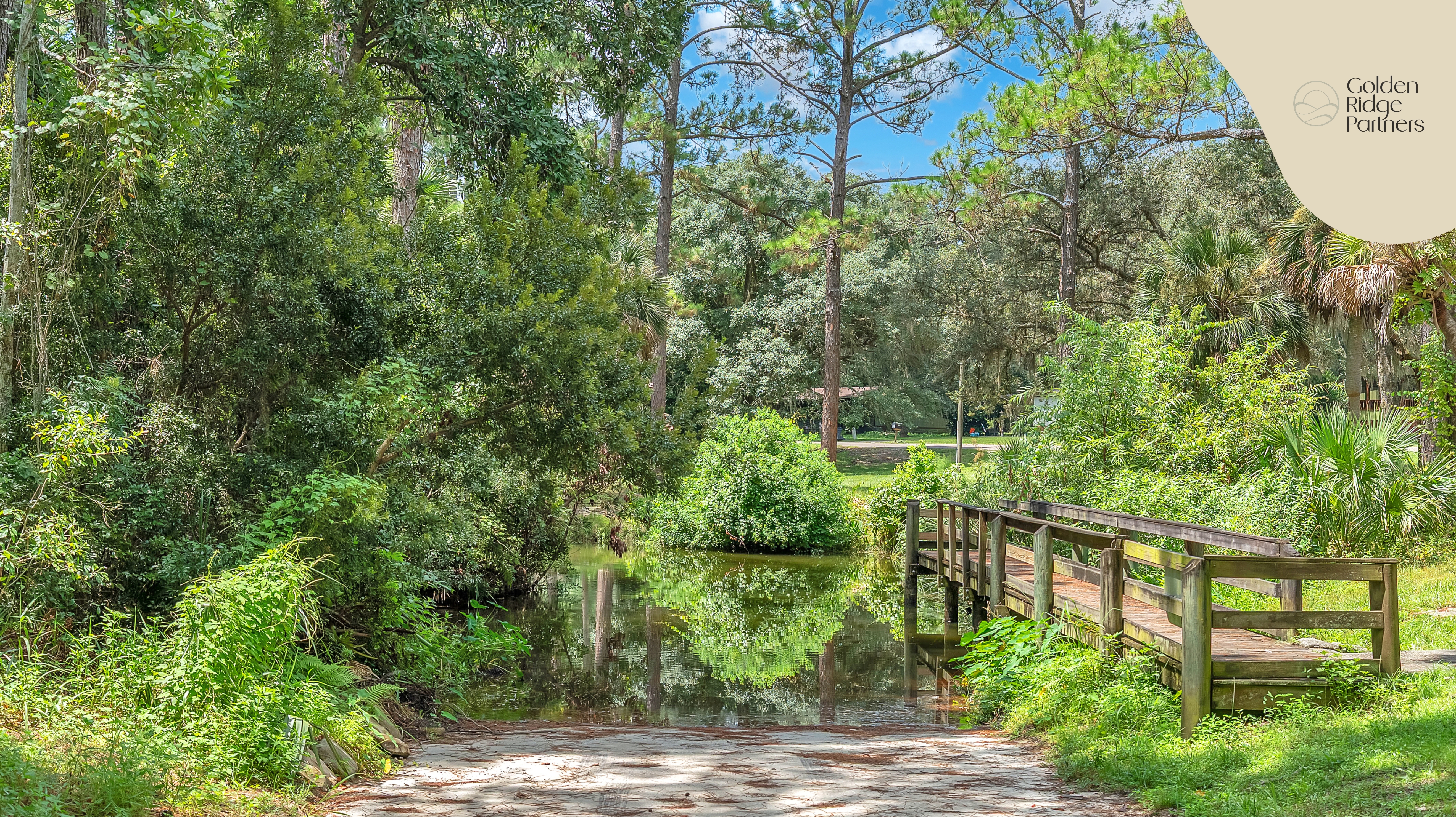 Undeveloped Land in Florida: Is It a Smart Move in 2026? And How to Get Started Without a Bank Loan  By Juliana Scolari | Golden Ridge Partners