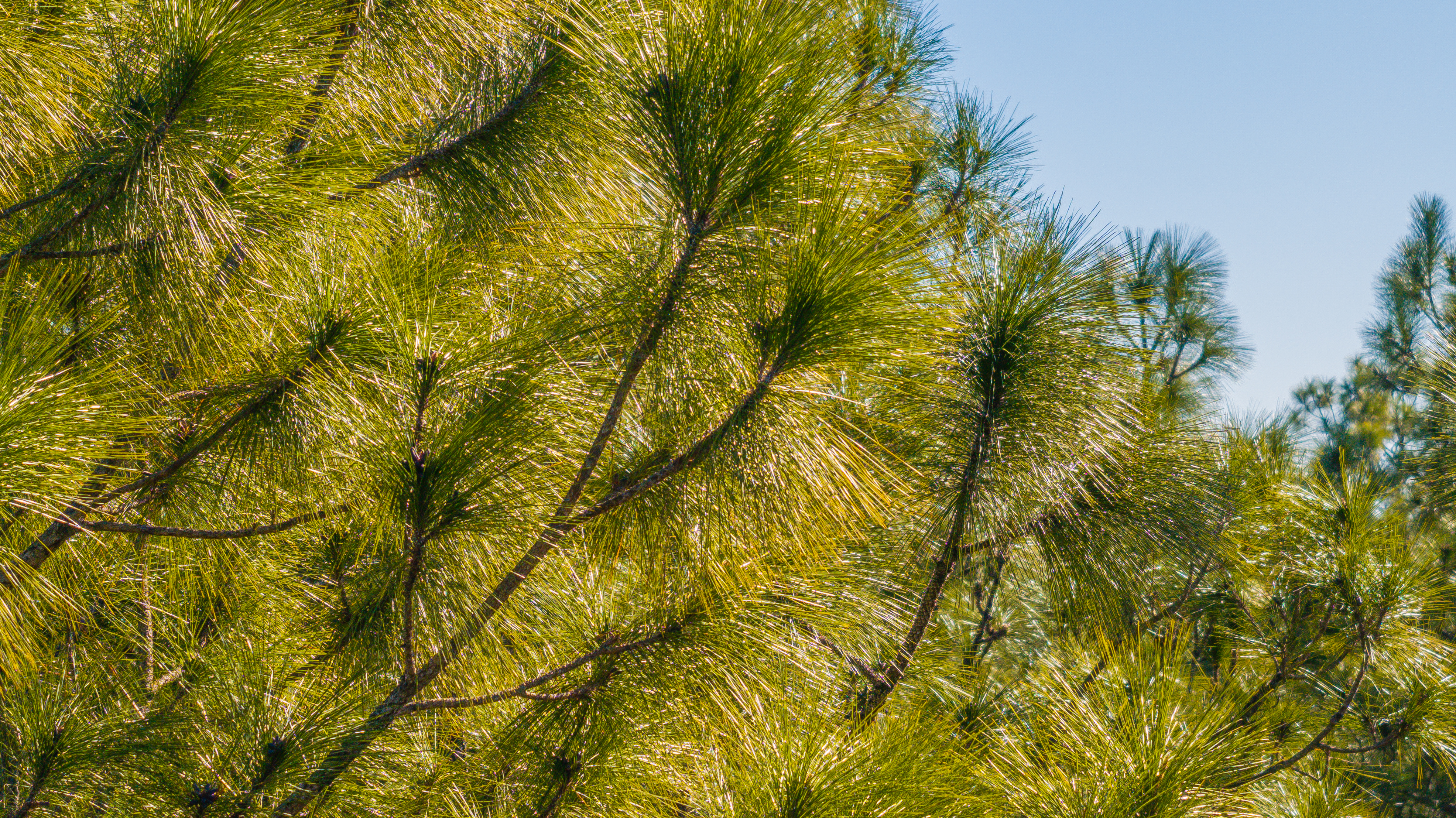 The Asset Class That Never Goes to Zero (And Why Wall Street Hates It) By Juliana Scolari | Golden Ridge Partners