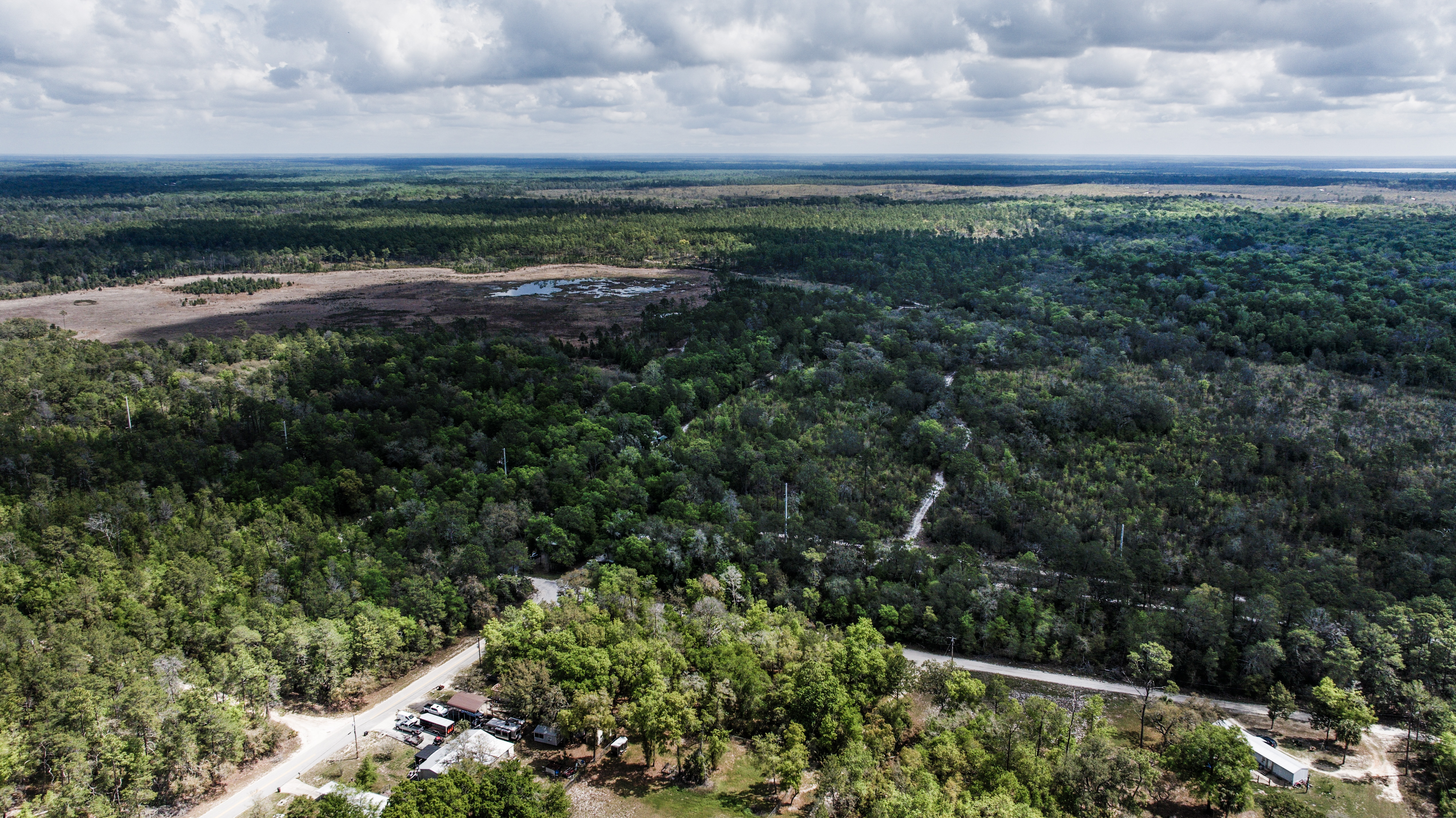 Florida Owner Financing vs Paying Cash: What Actually Makes More Sense? | By Juliana Scolari