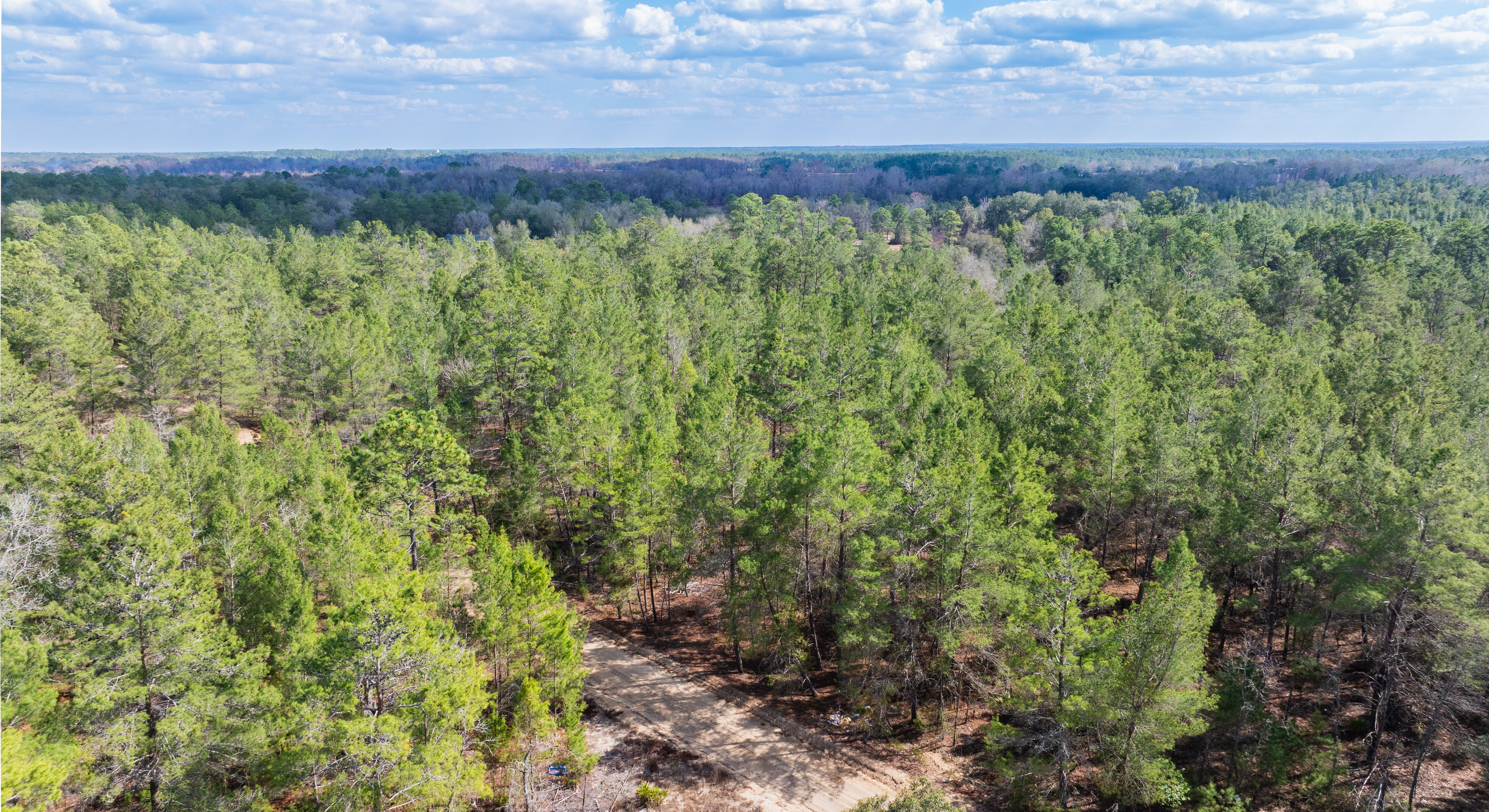 Buying Land in Florida for Retirement: The  Complete 2026 Guide  By Juliana Scolari | Golden Ridge Partners 