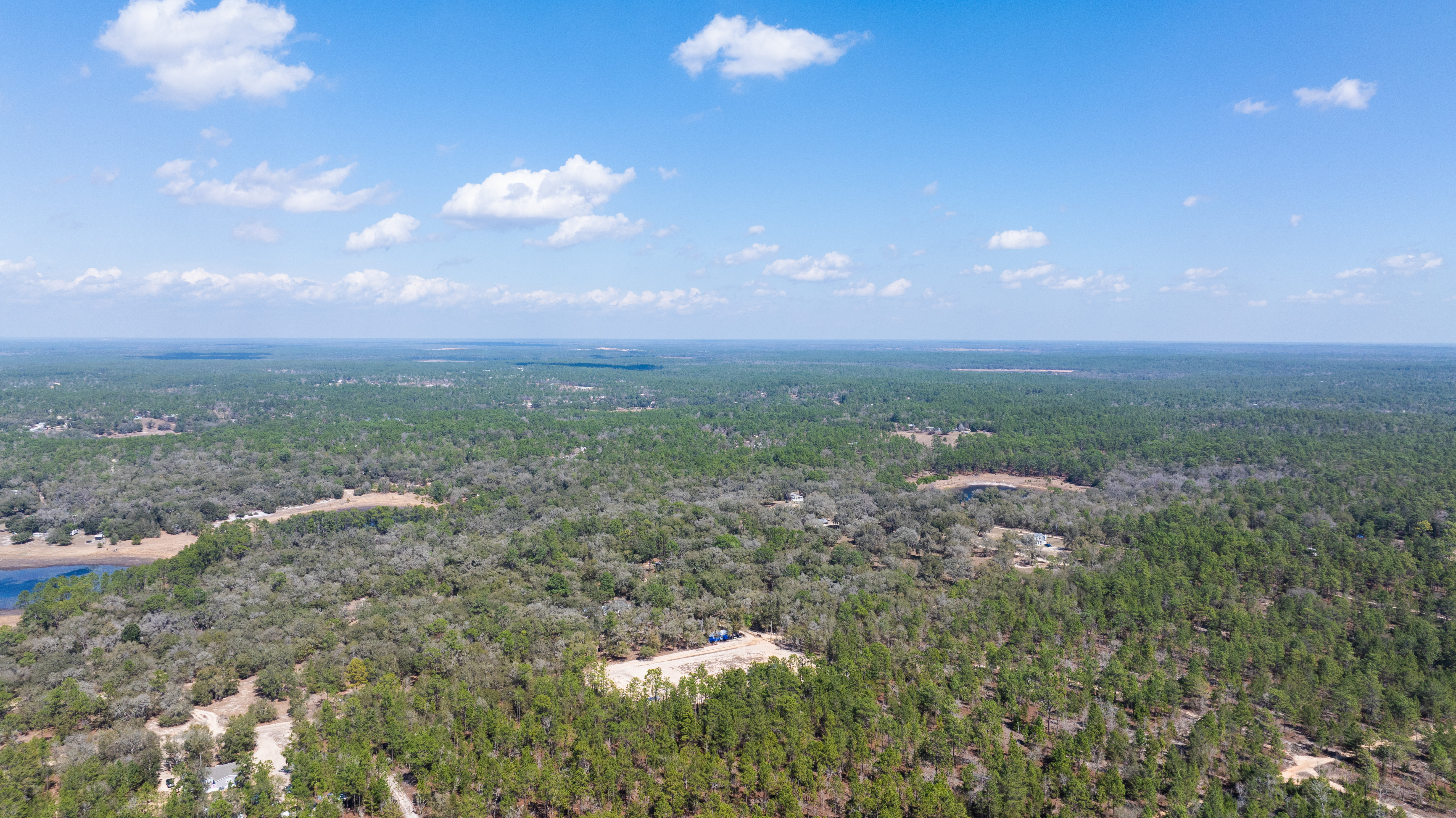 What Grows Well in Putnam County, Florida? | Flowers, Vegetables, Fruit, and Garden Ideas for Florida Landowners By Juliana Scolari