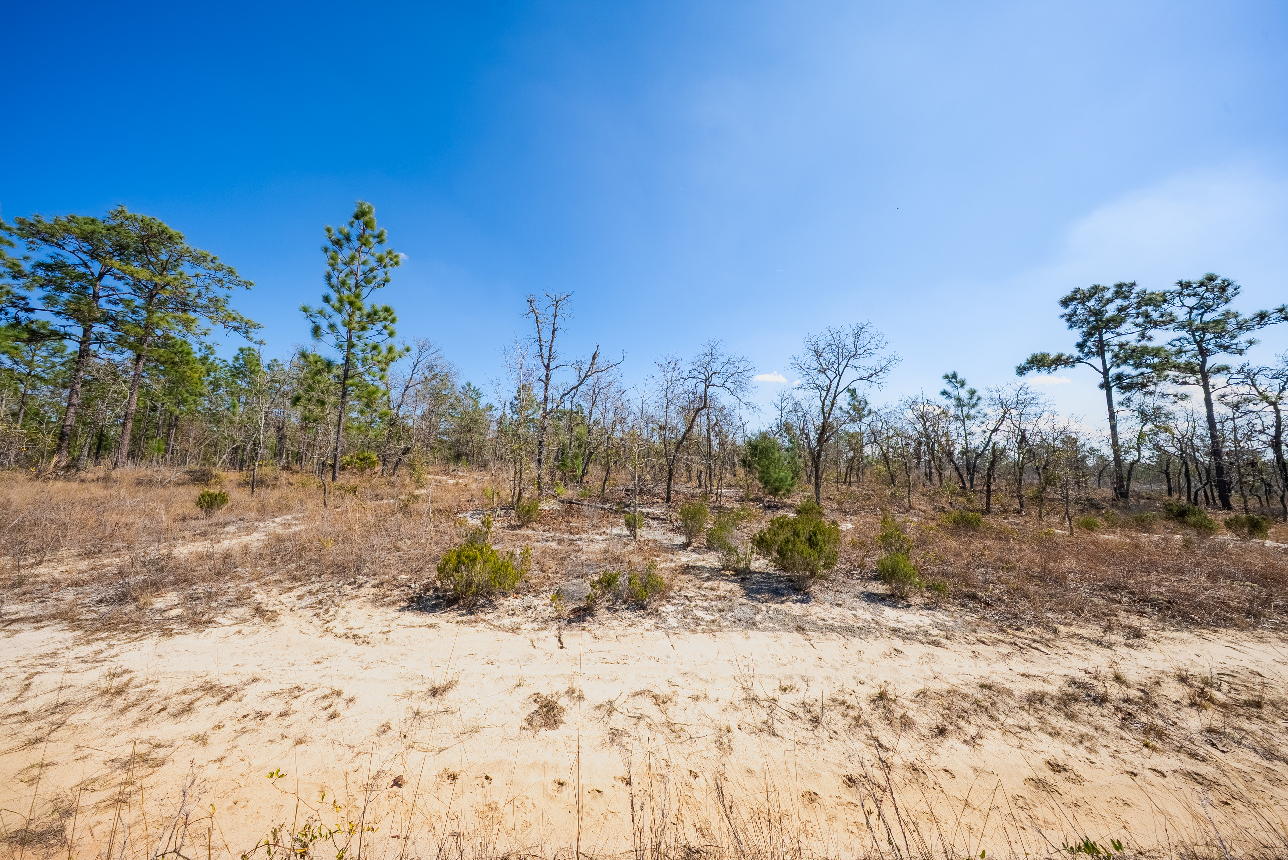 Property View 11