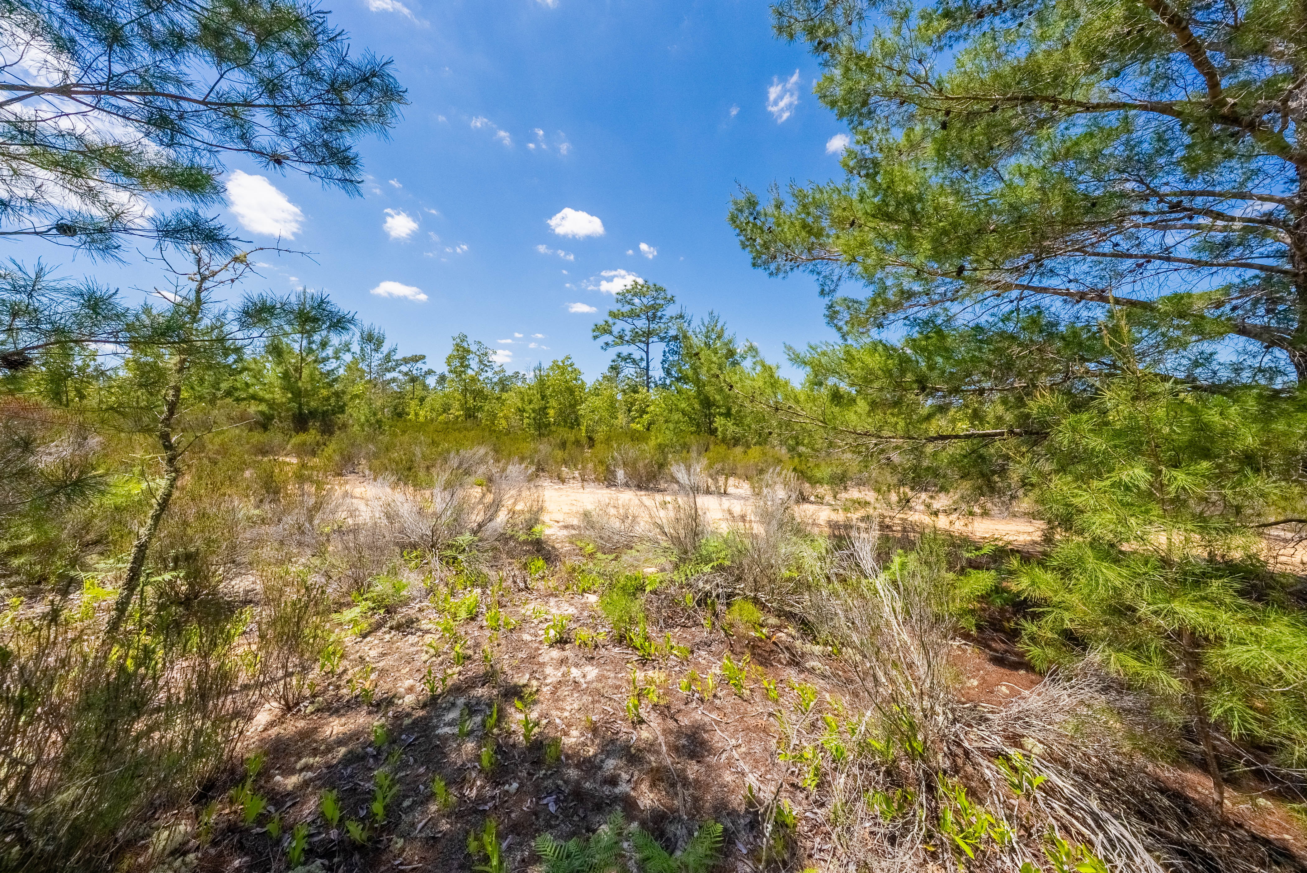 Property View 13