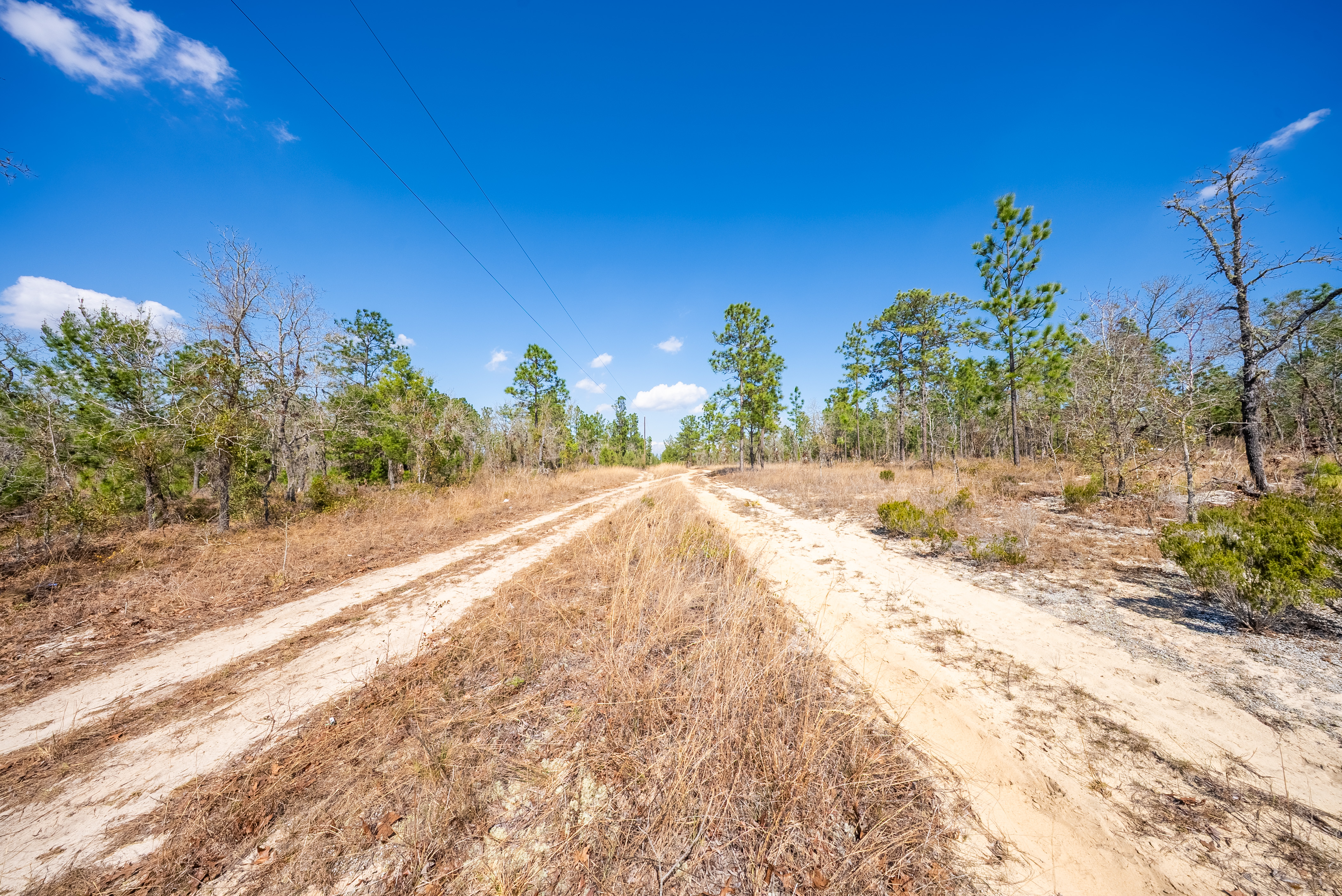 Property View 12