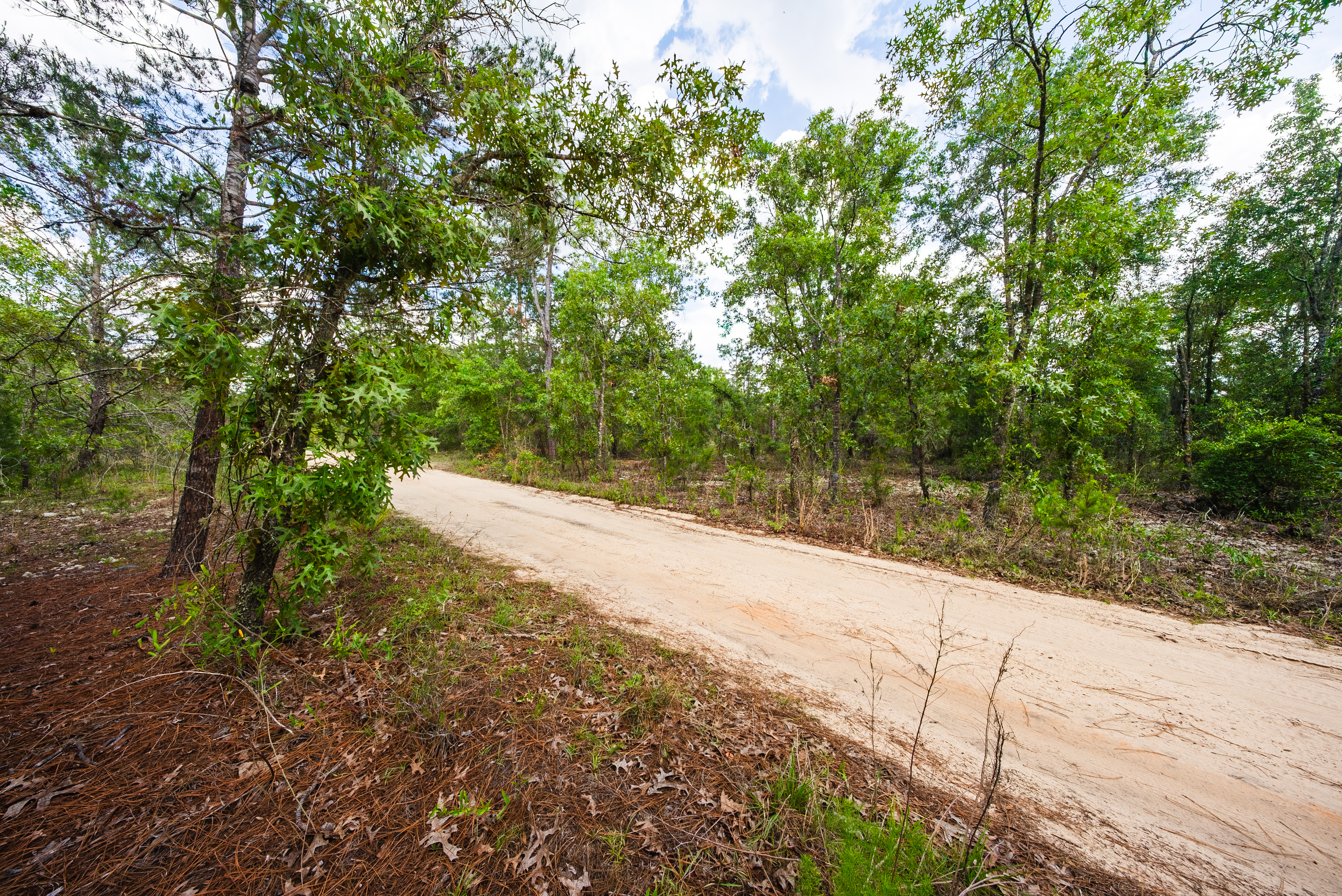 Property View 11