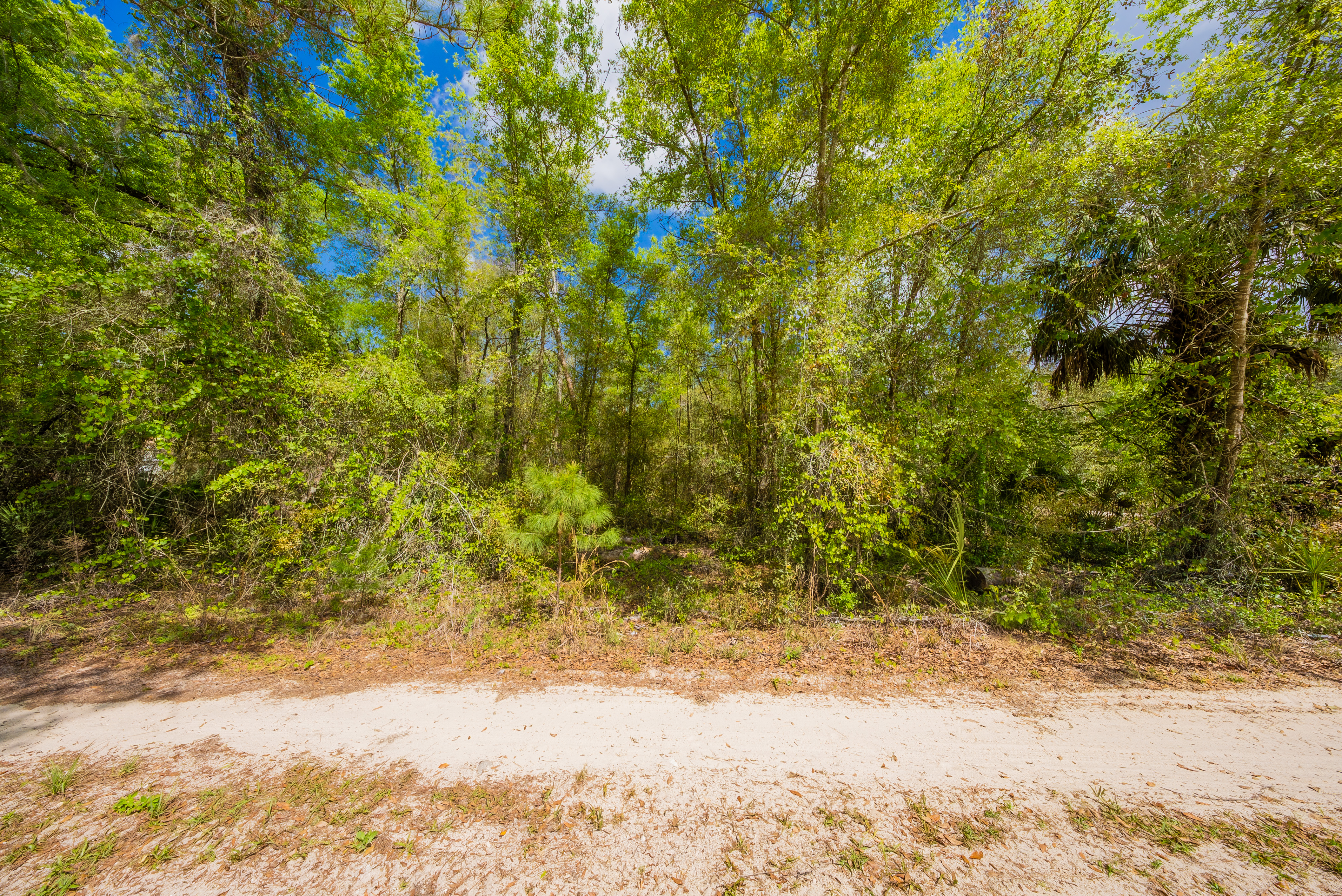 Property View 12