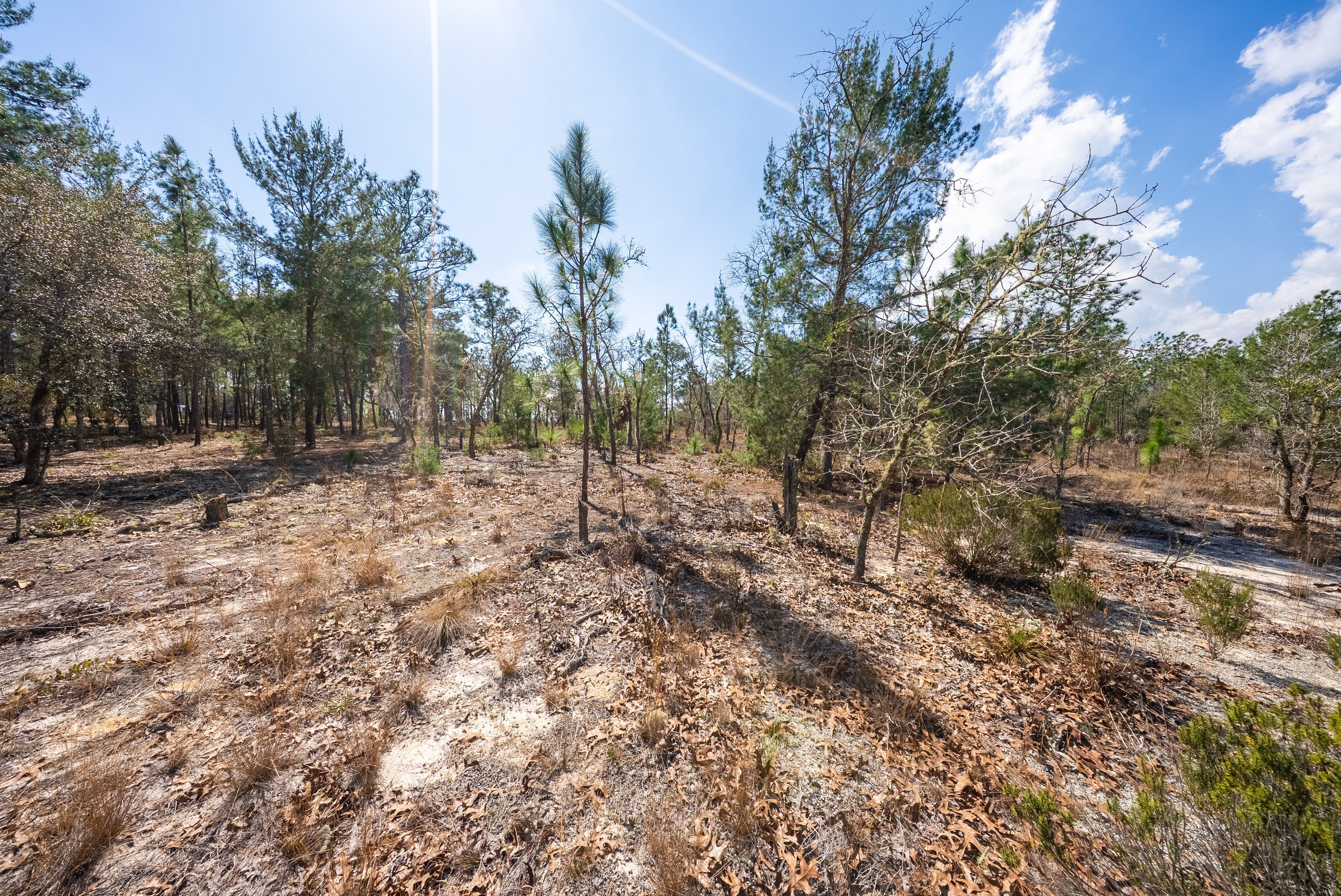 Property View 12
