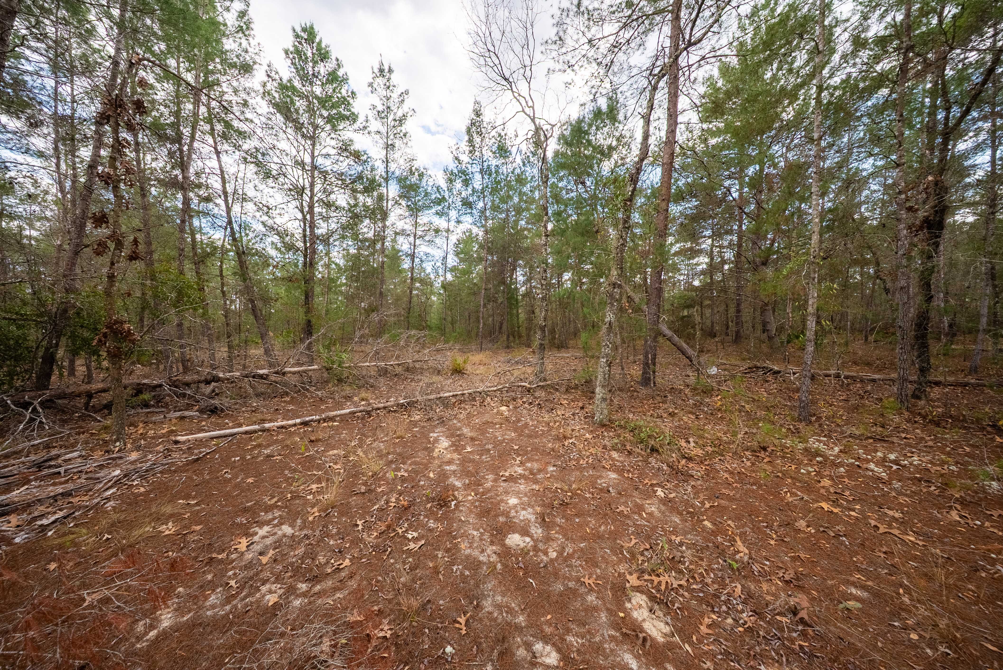 Property View 11