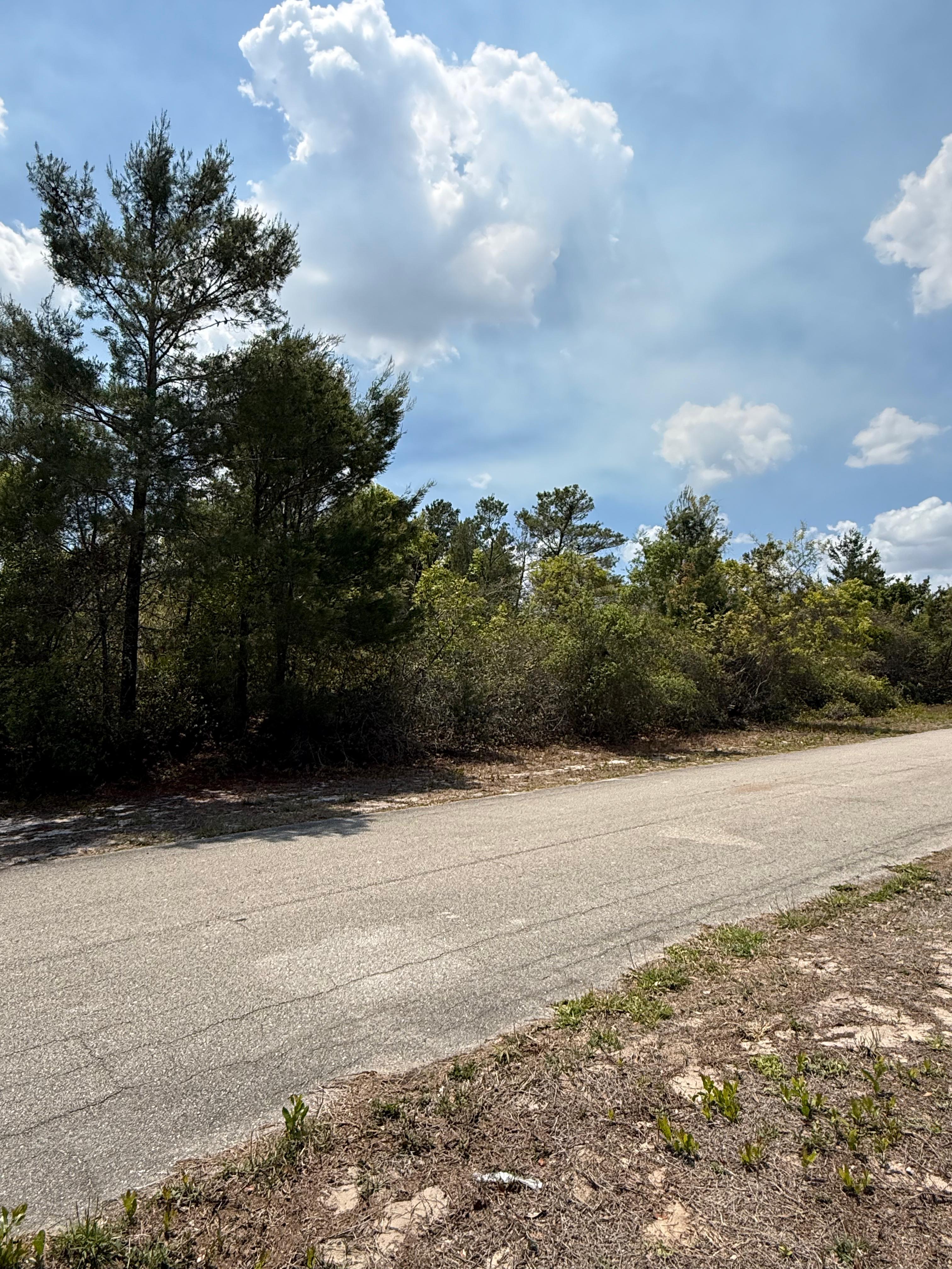Property View 6