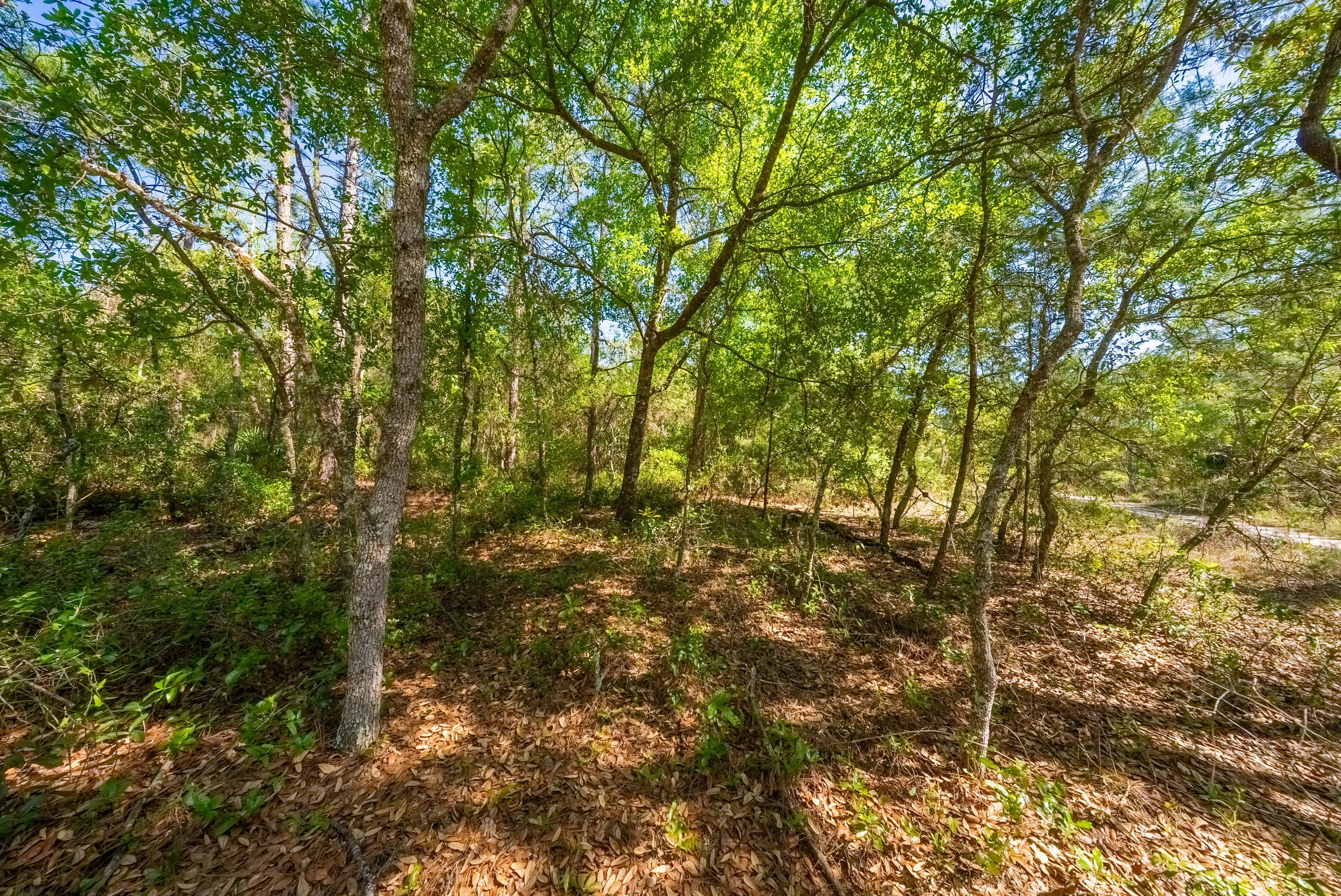 Property View 7