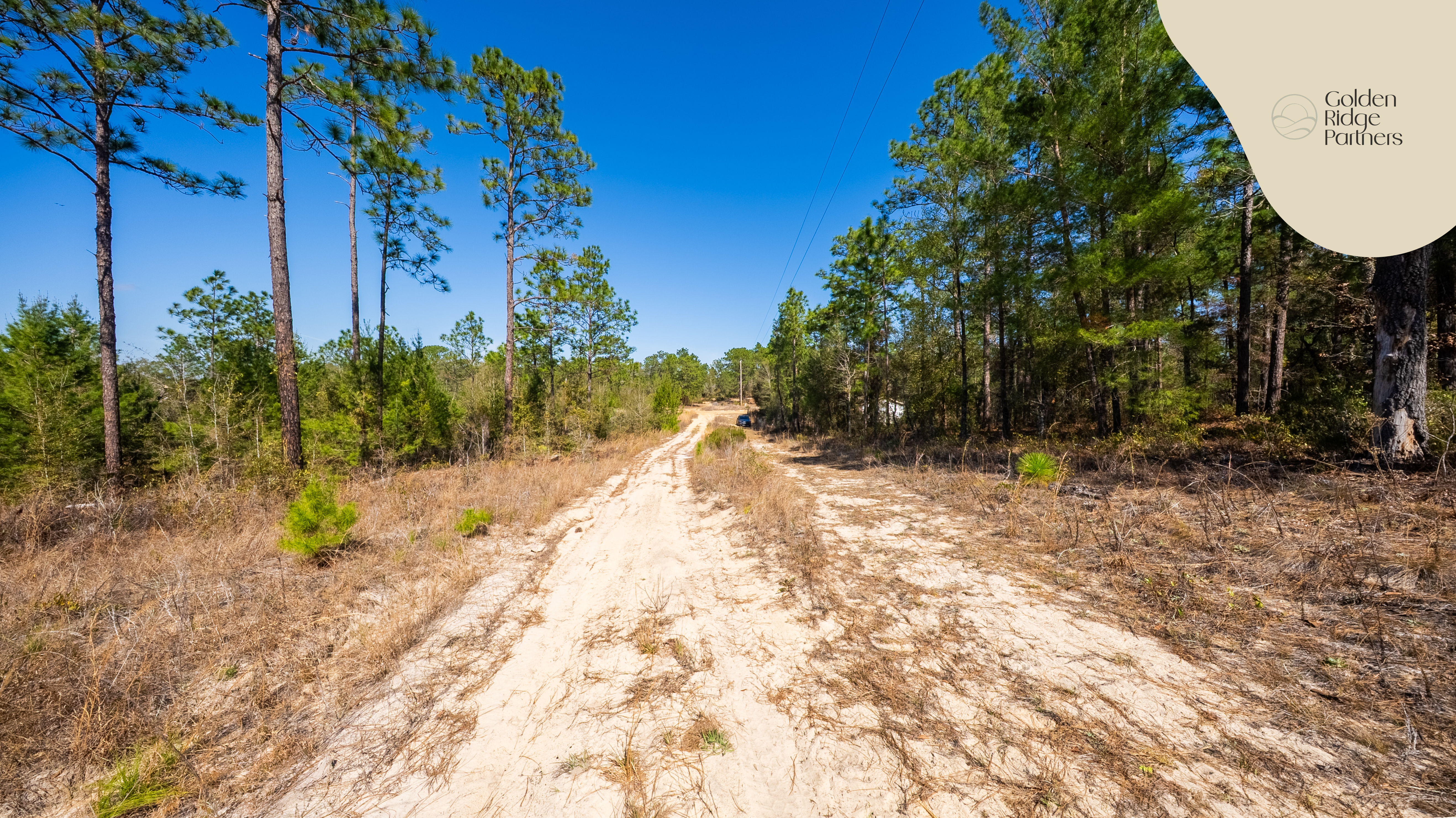 Property View 12