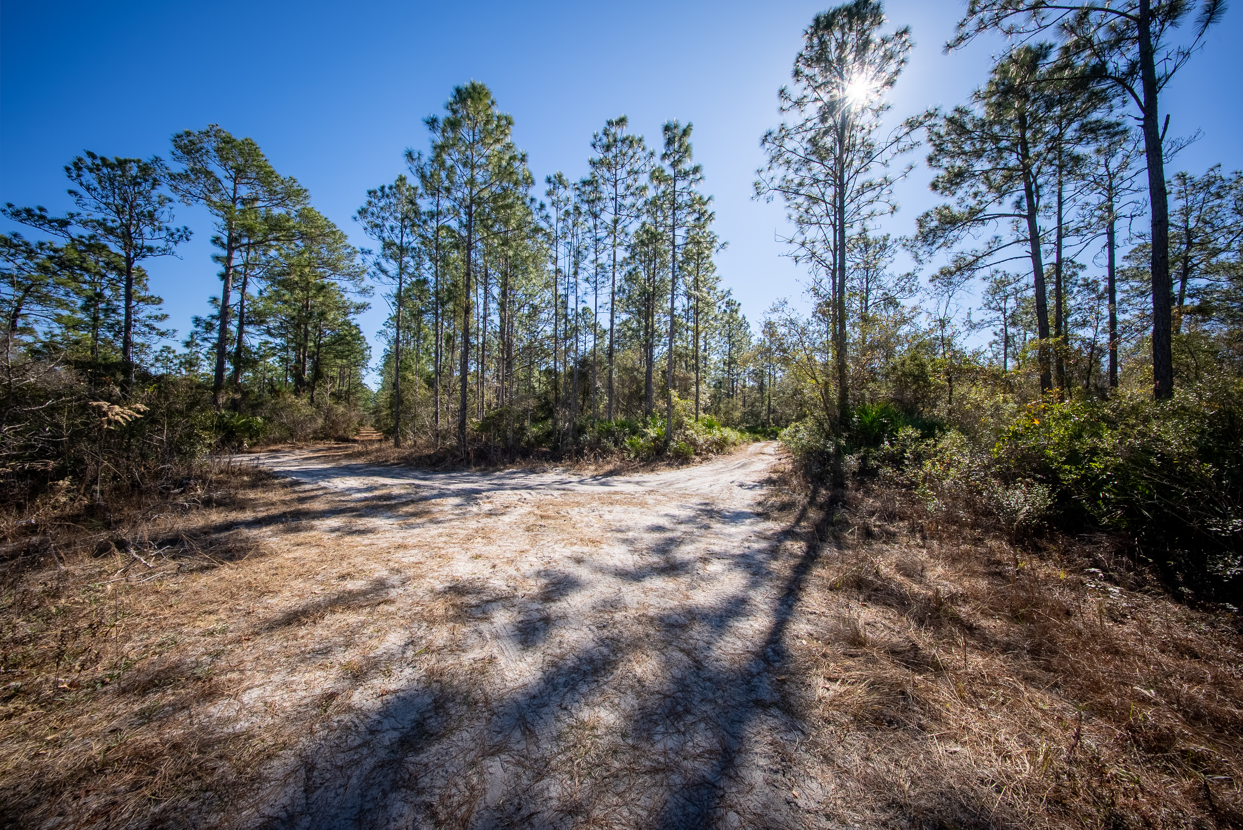 Property View 14