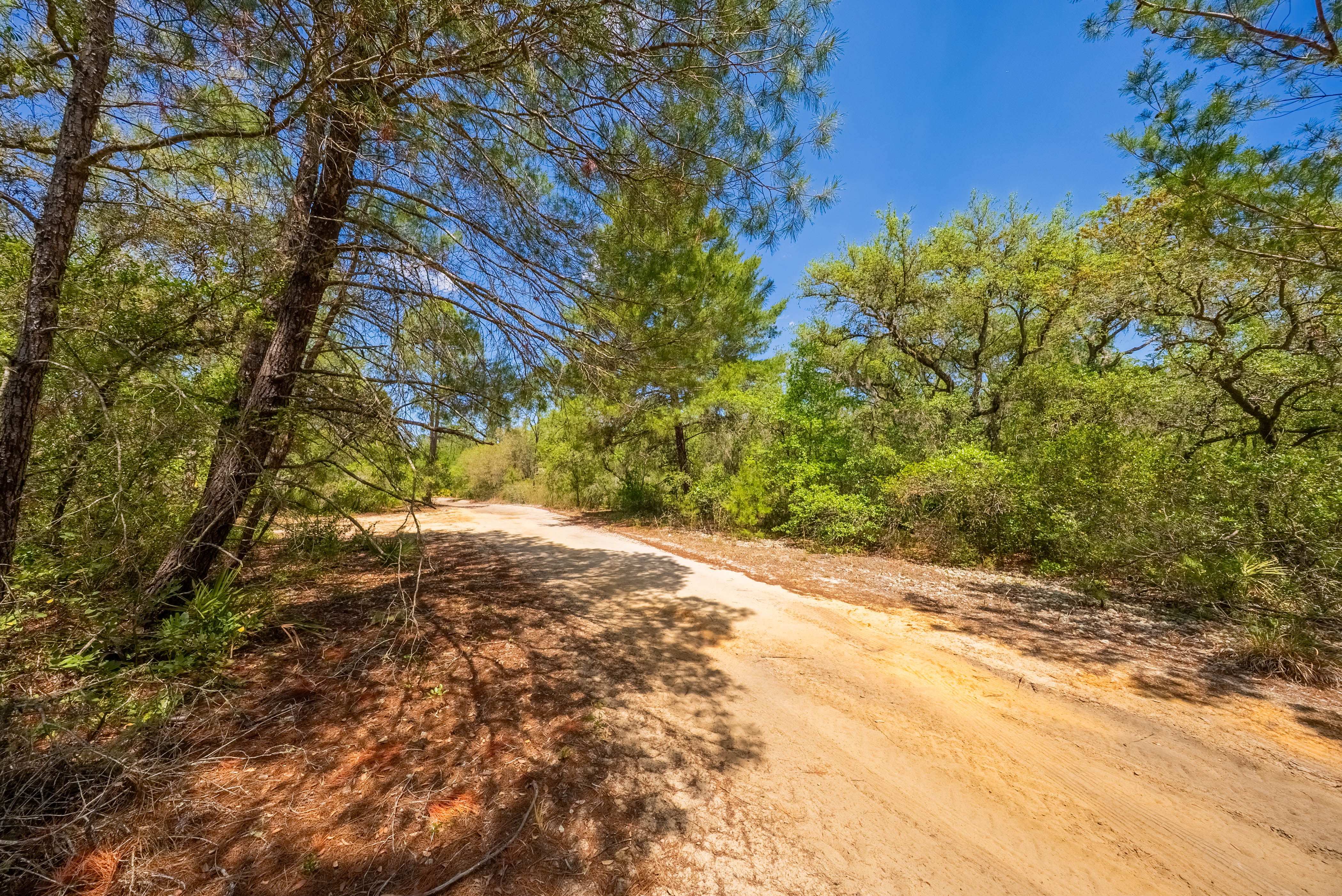 Property View 12