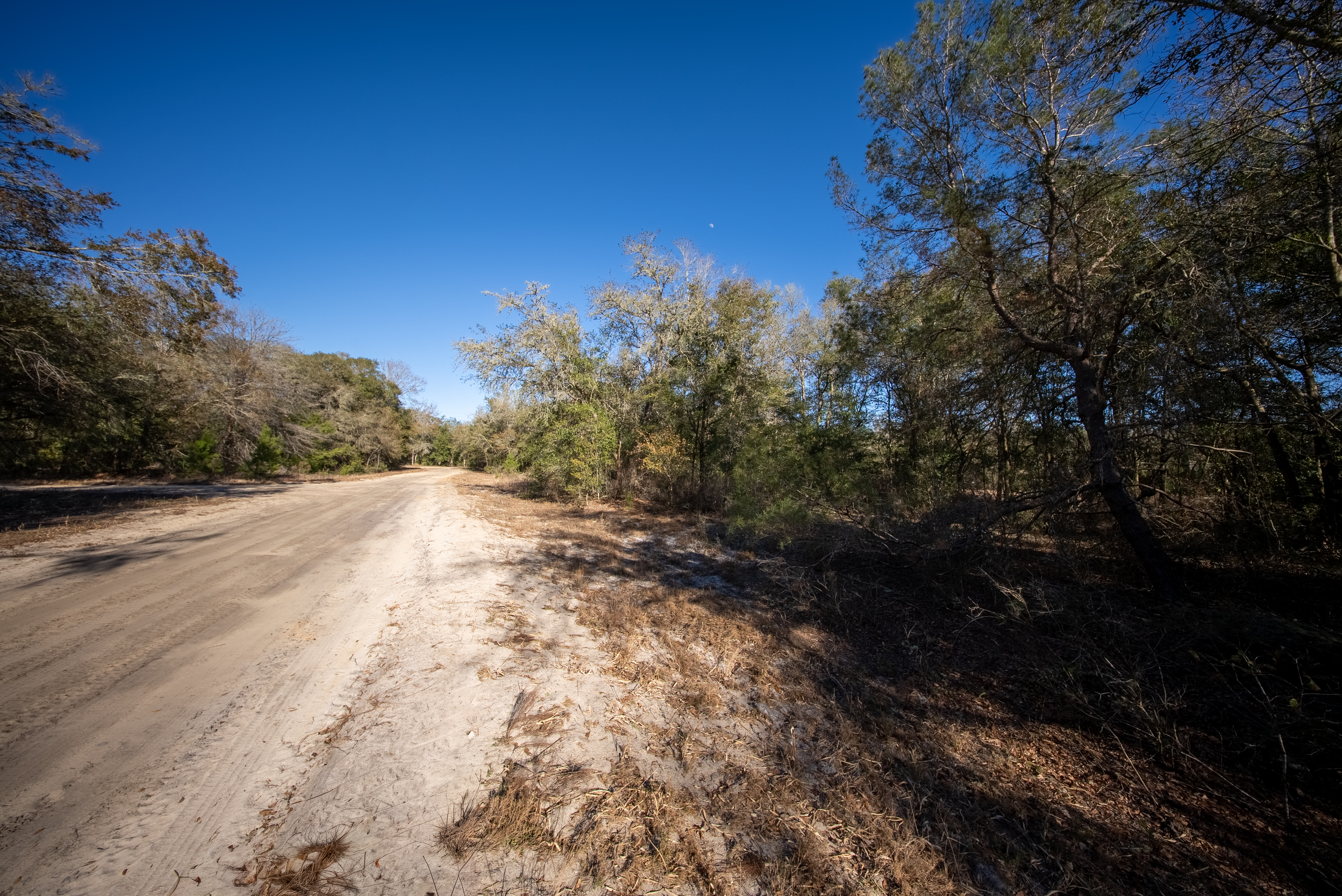 Property View 14