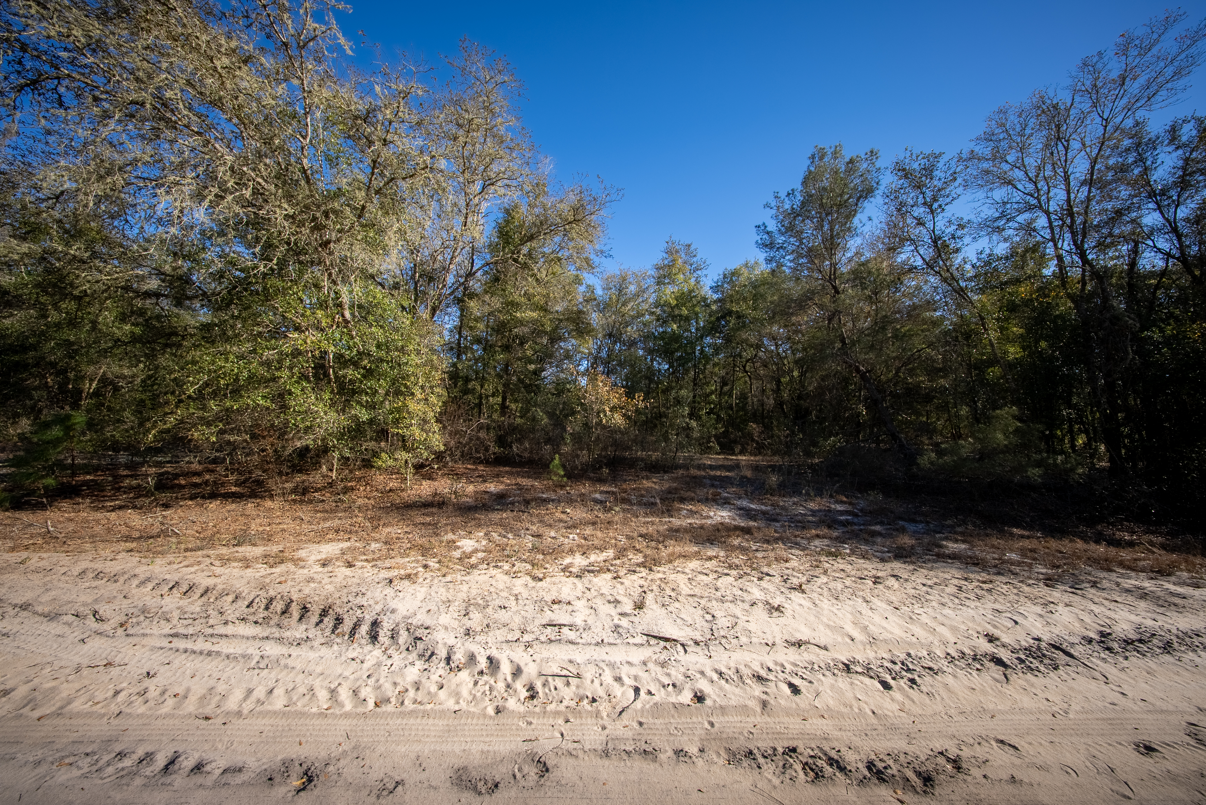Property View 15