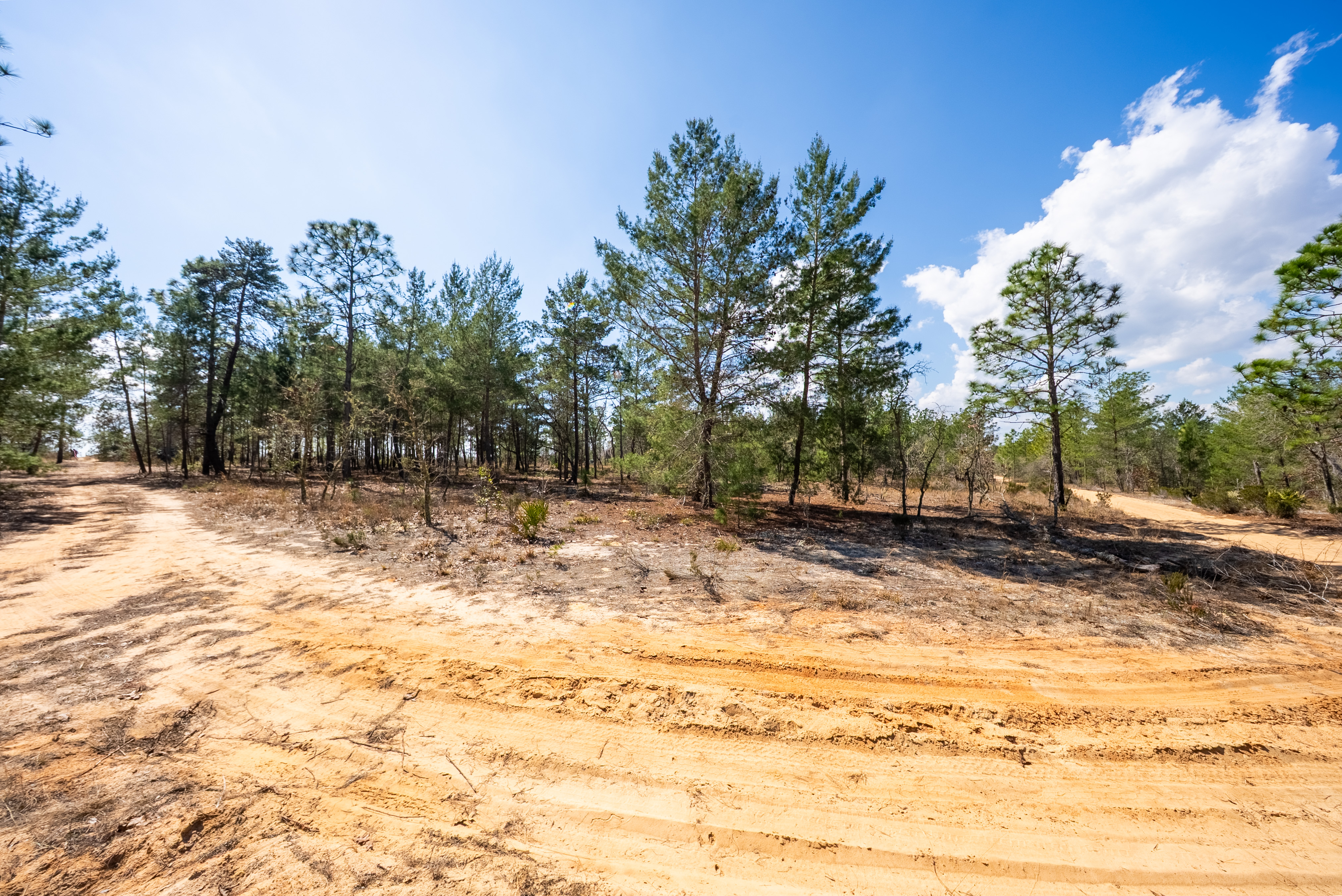 Property View 9