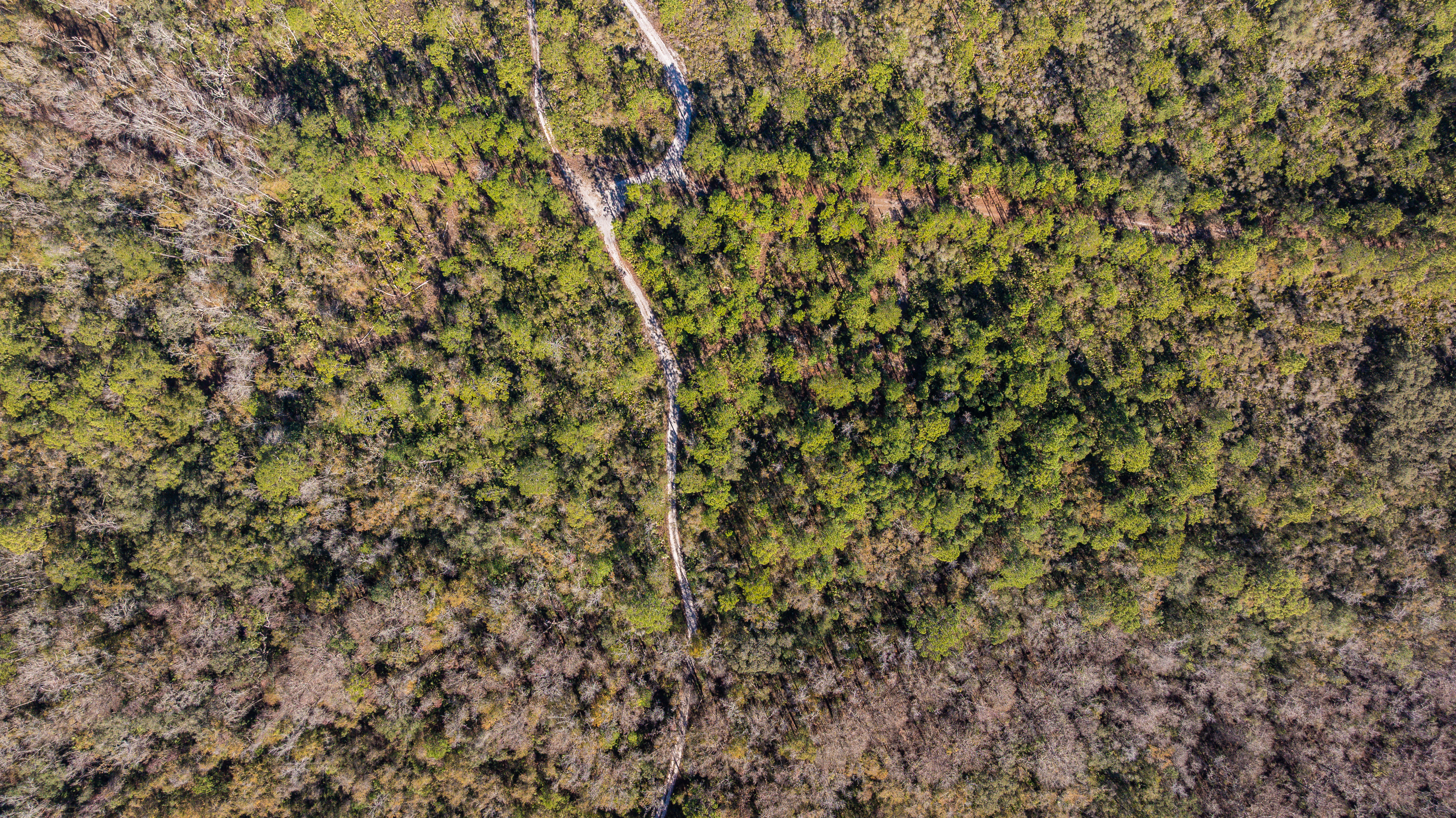 Property View 13