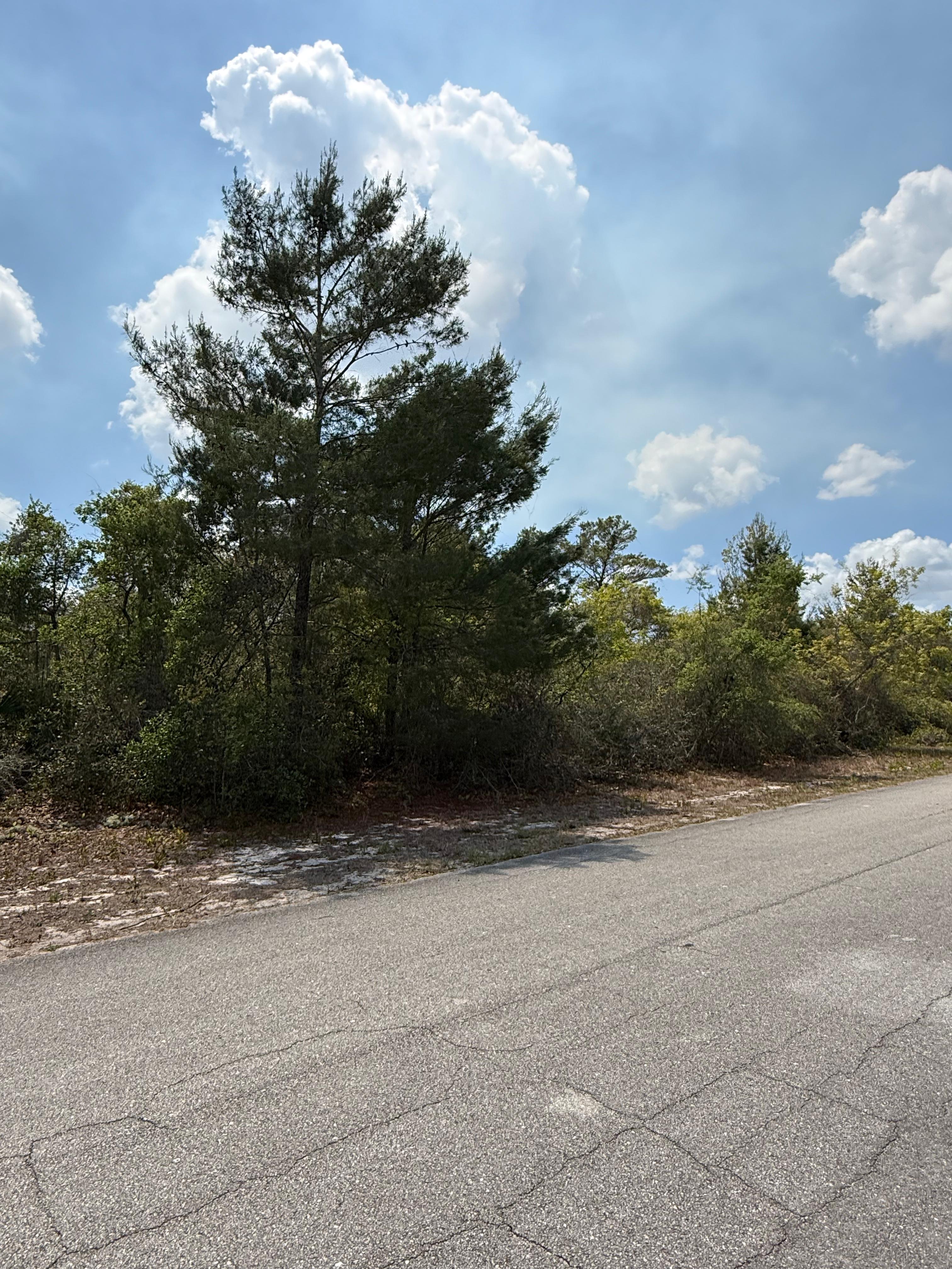 Property View 5
