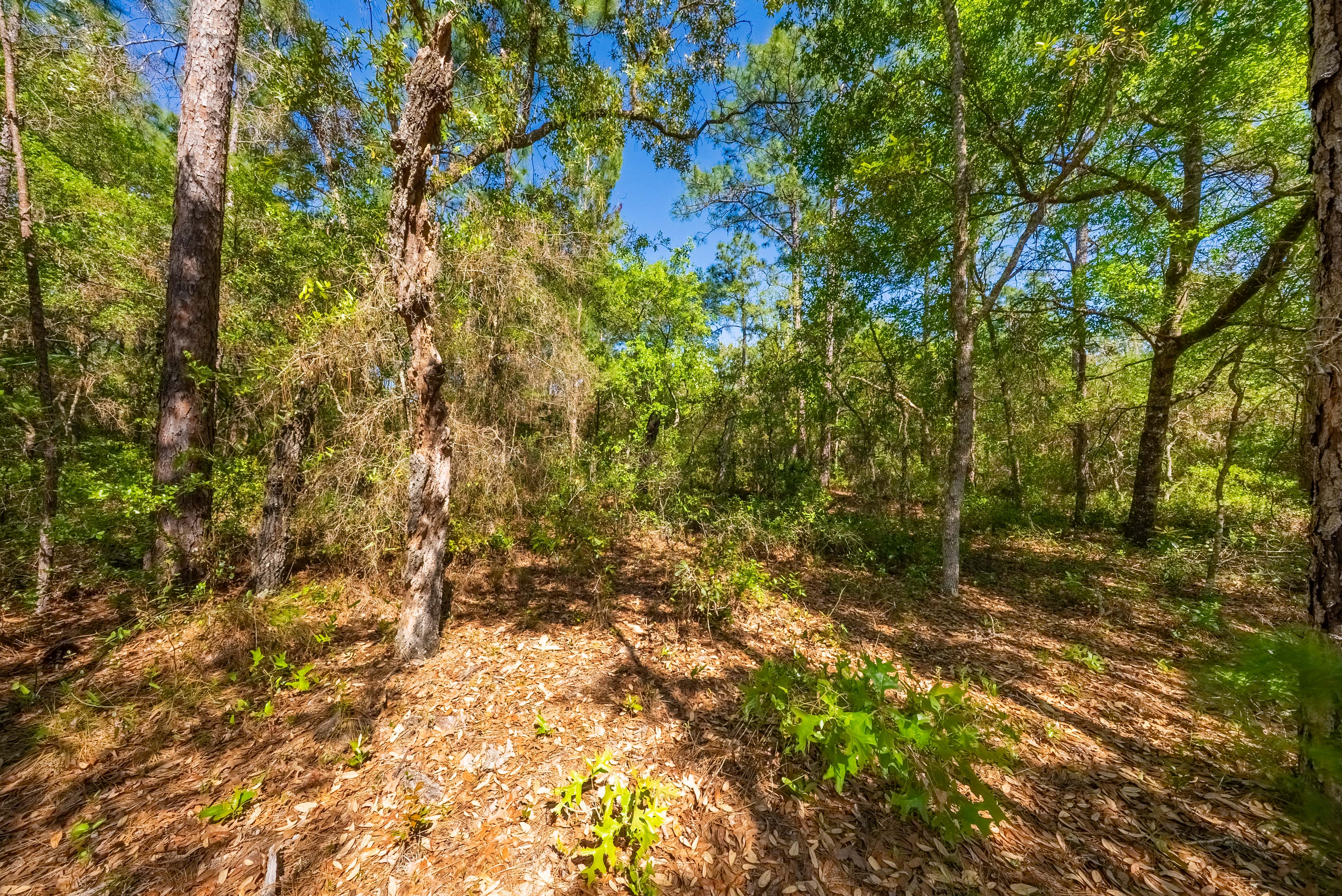 Property View 6