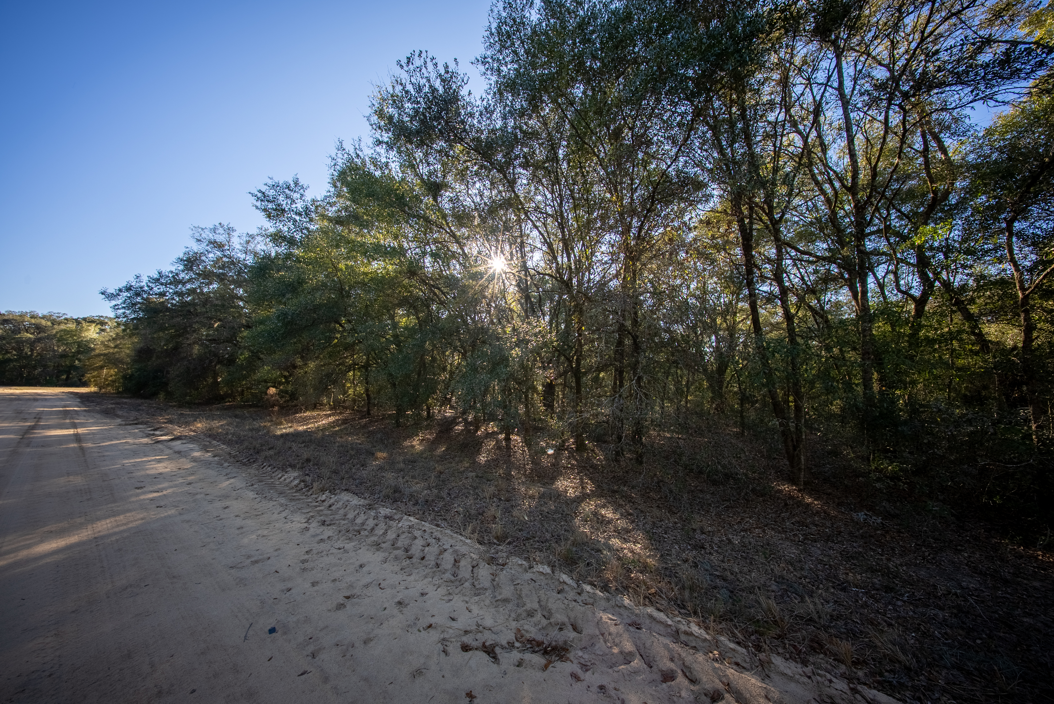 Property View 10