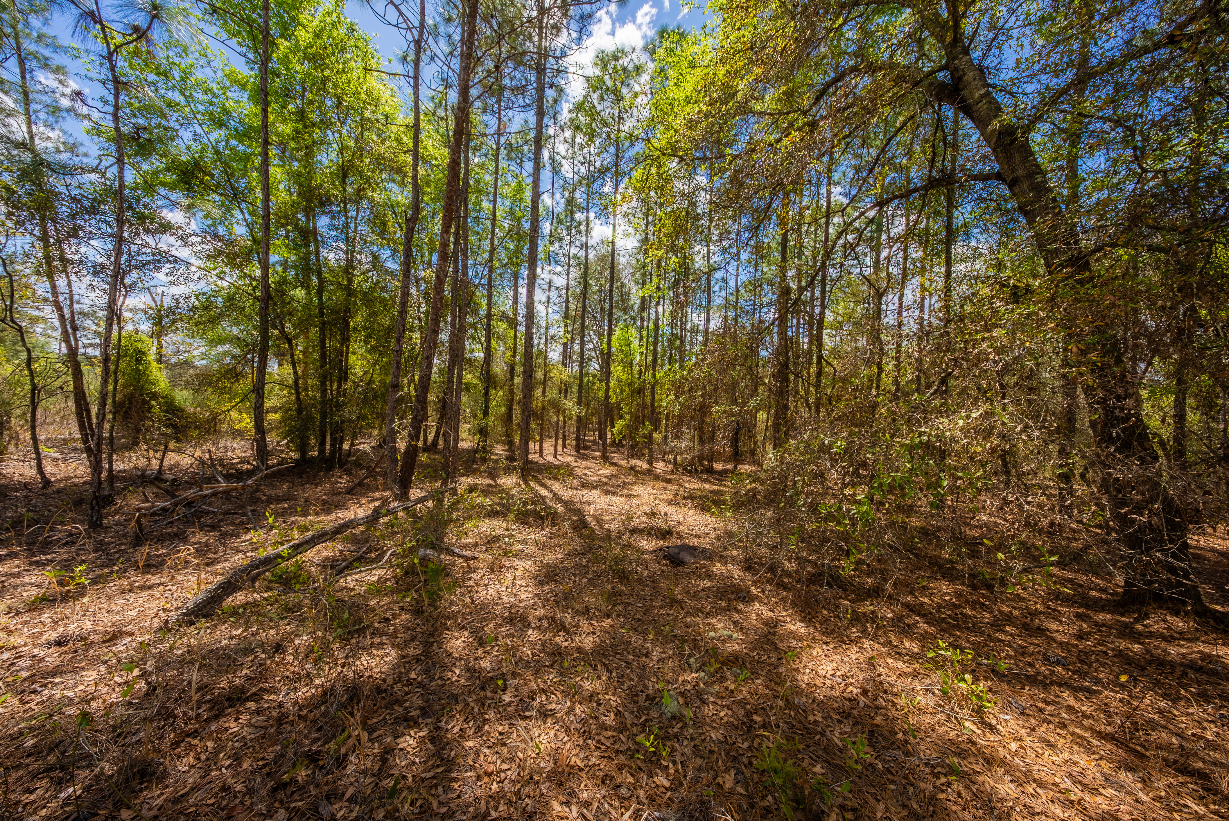 Property View 12