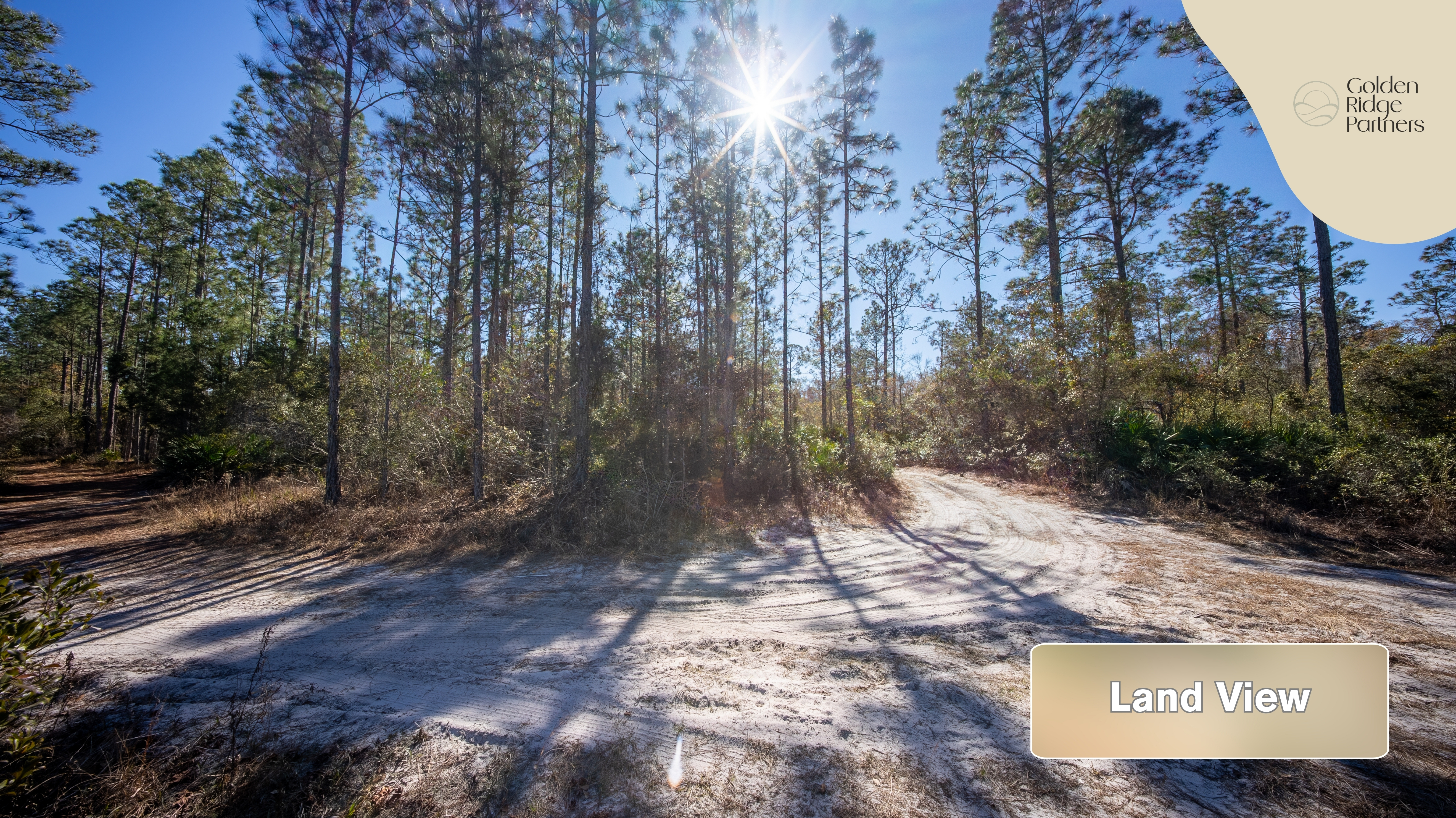 Property View 5
