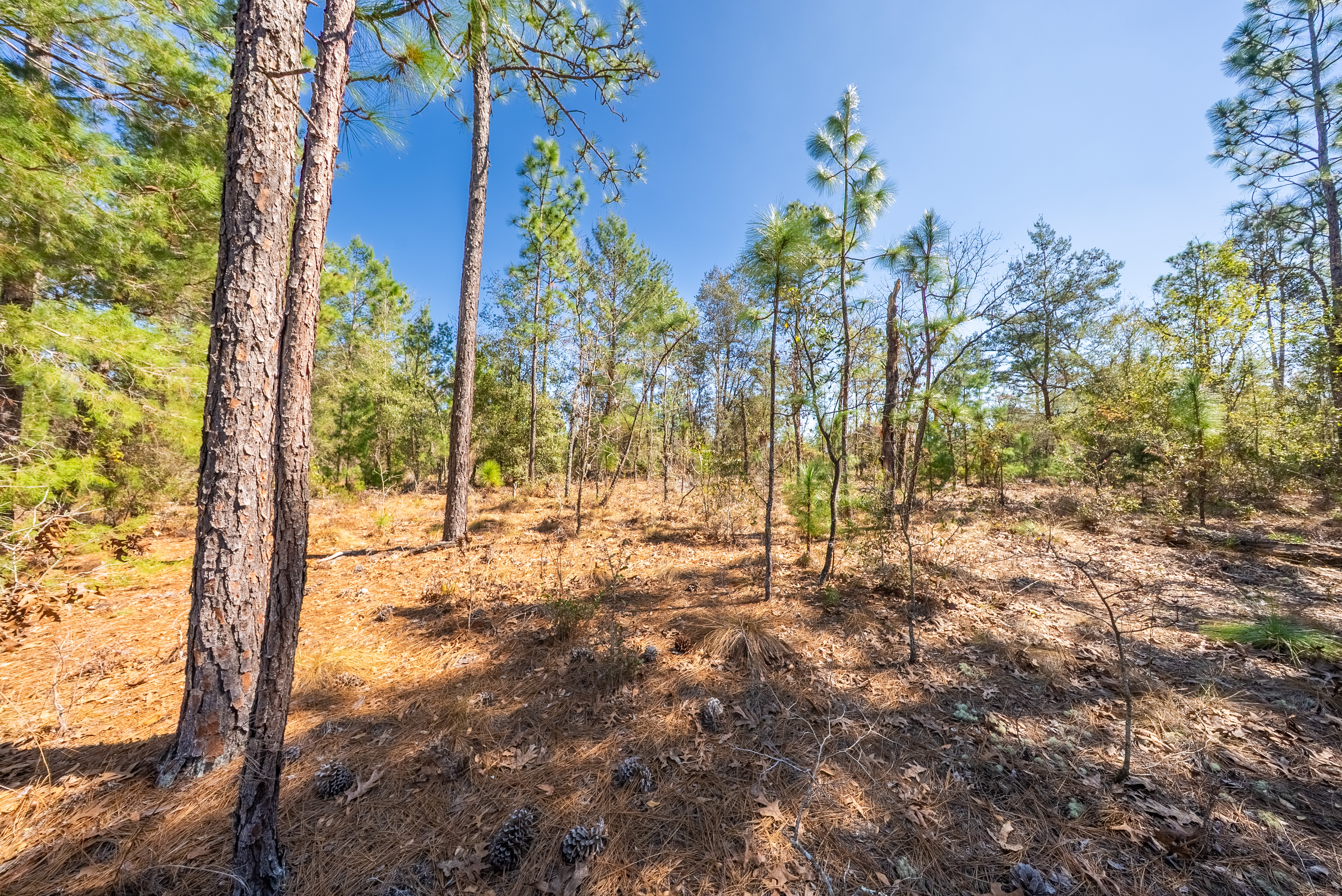 Property View 10