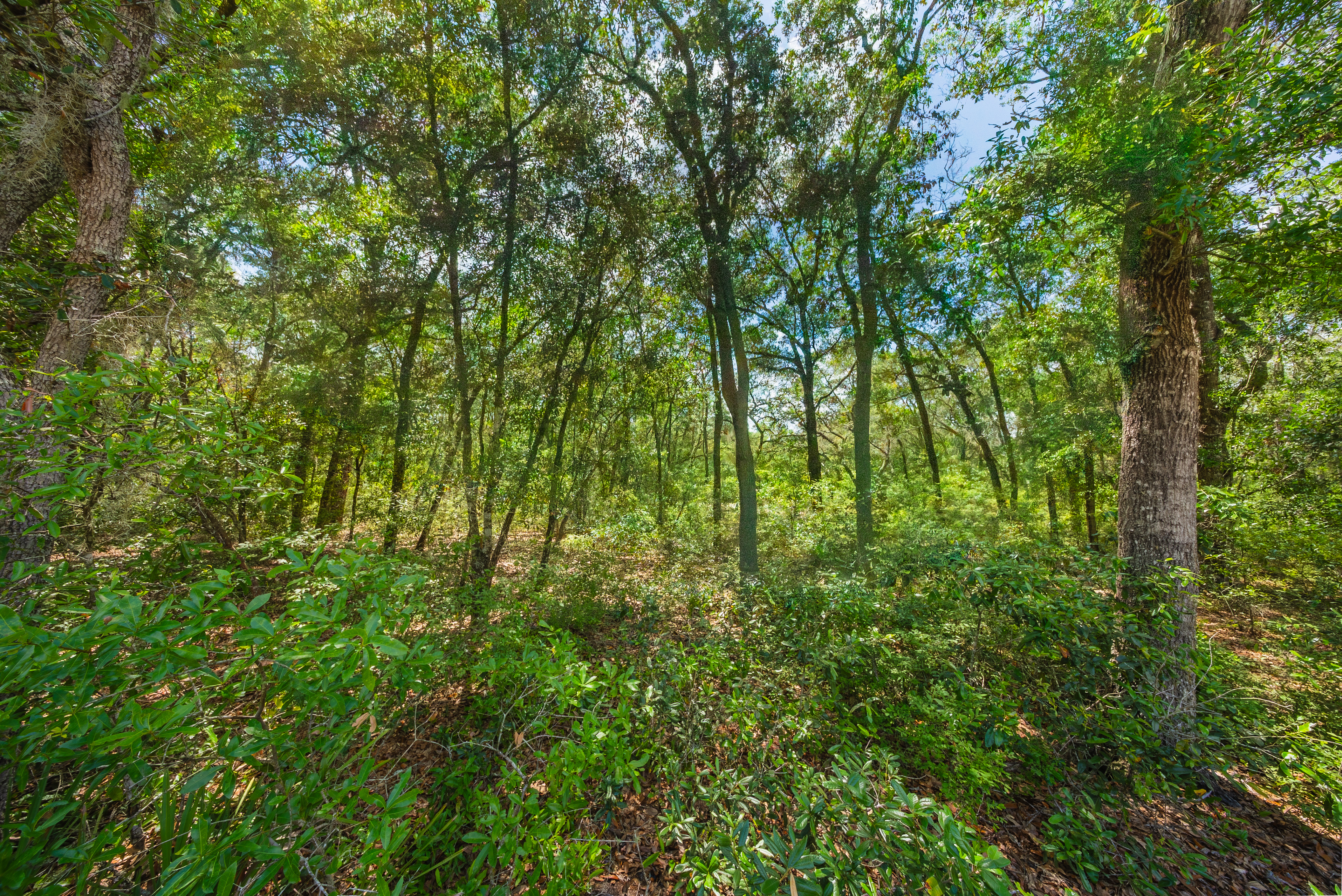 Property View 6