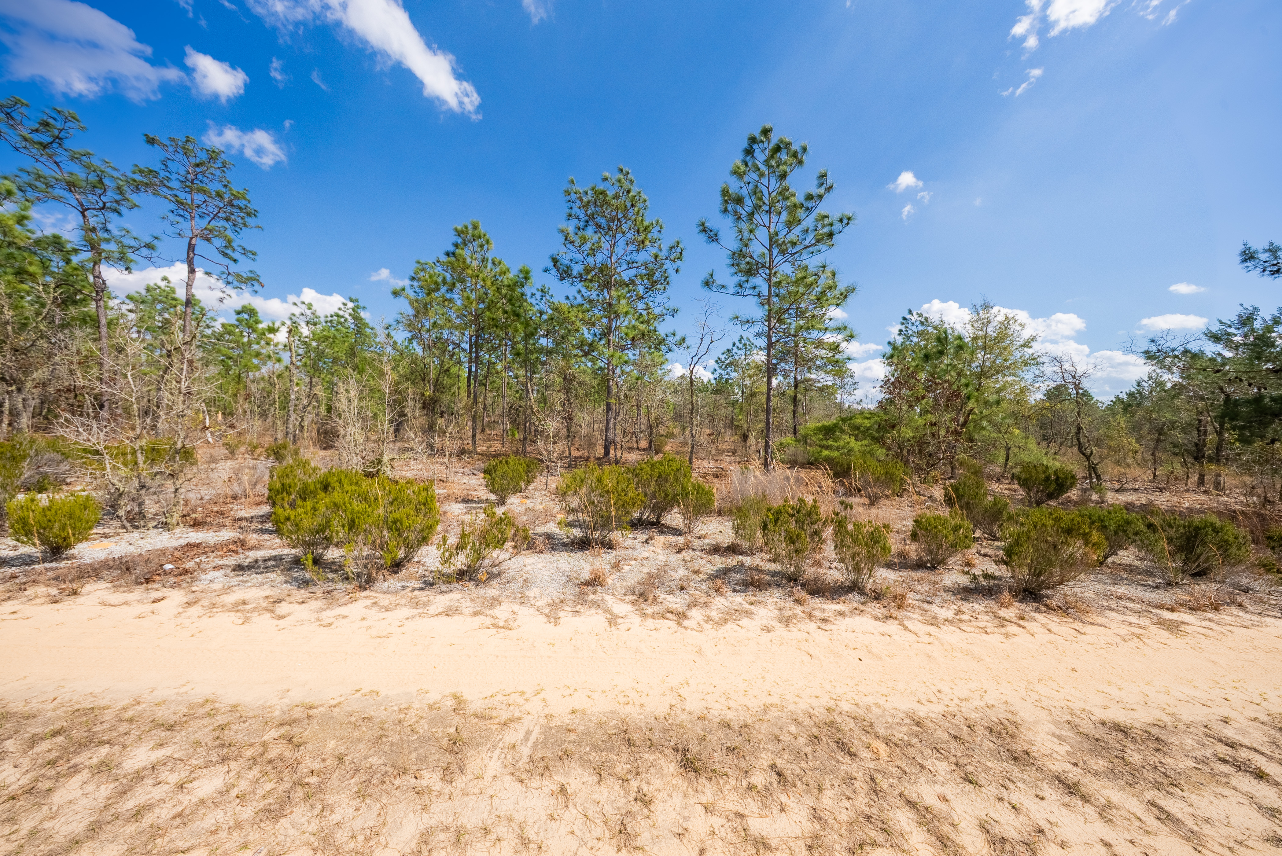 Property View 9