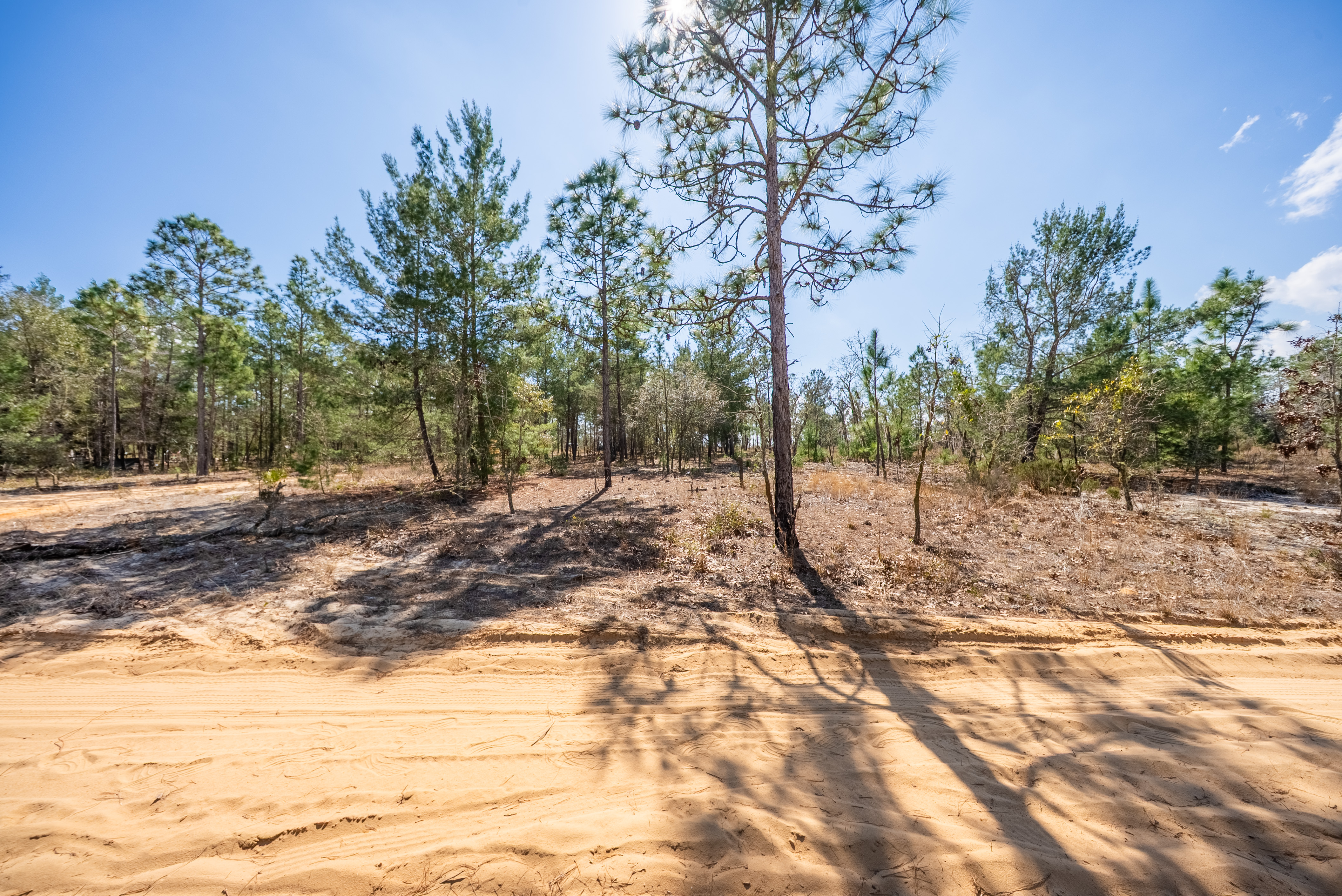 Property View 15
