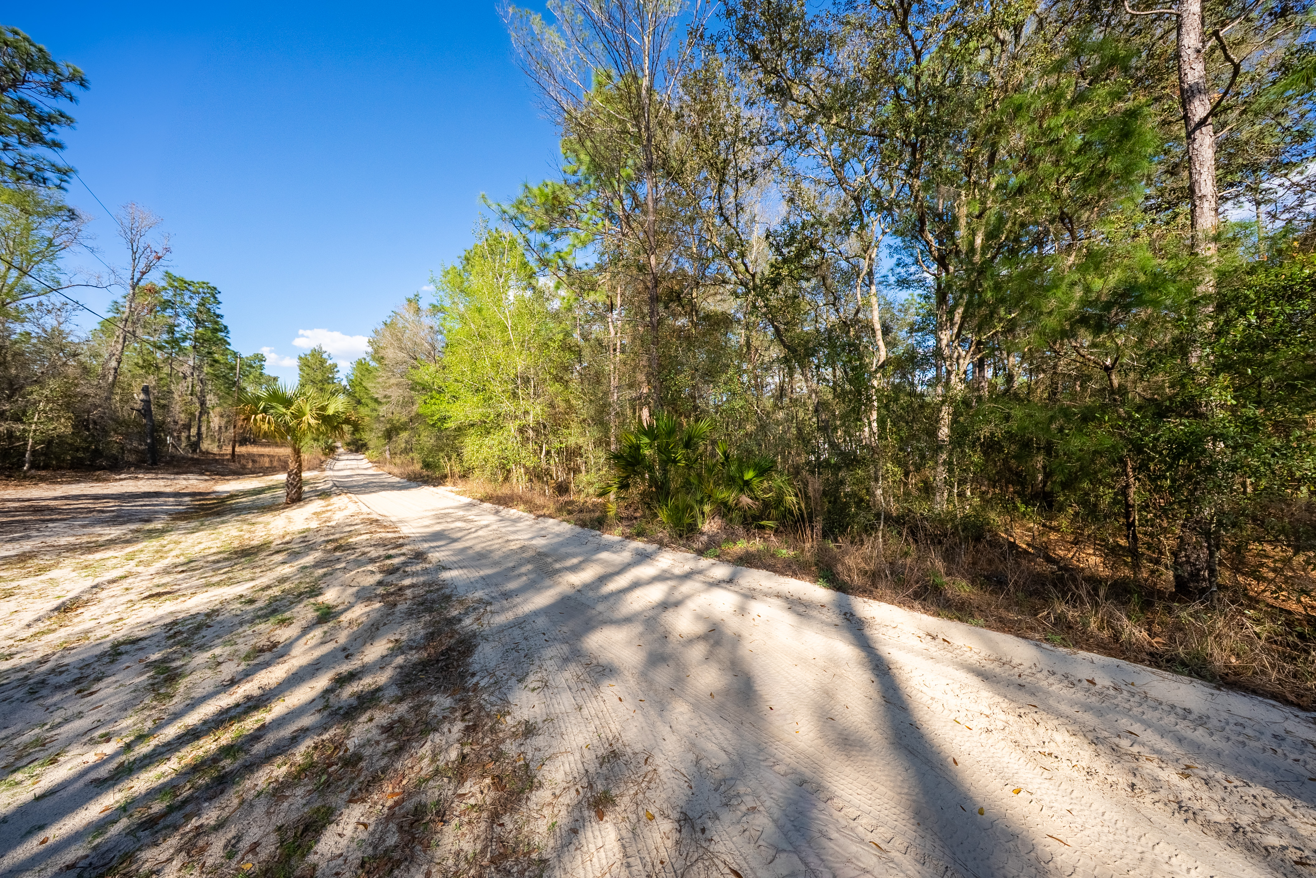 Property View 10