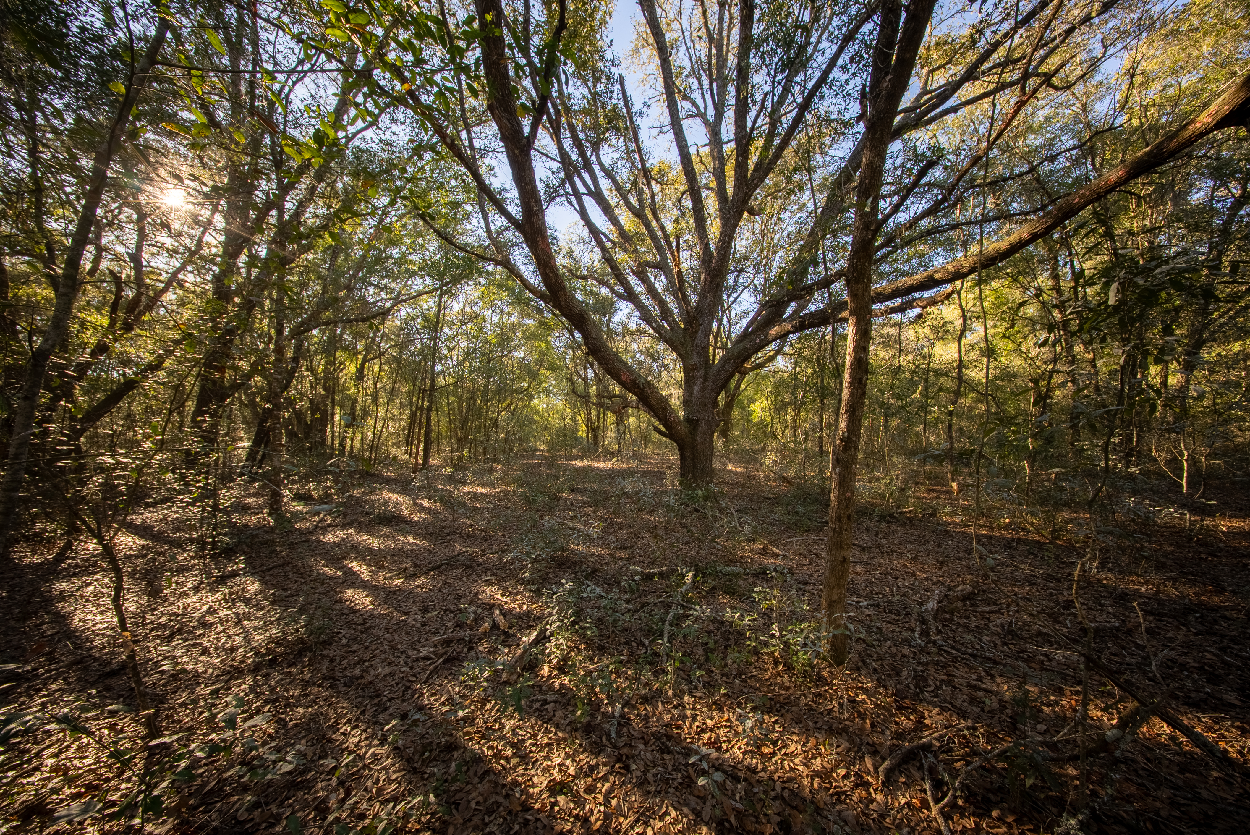 Property View 12