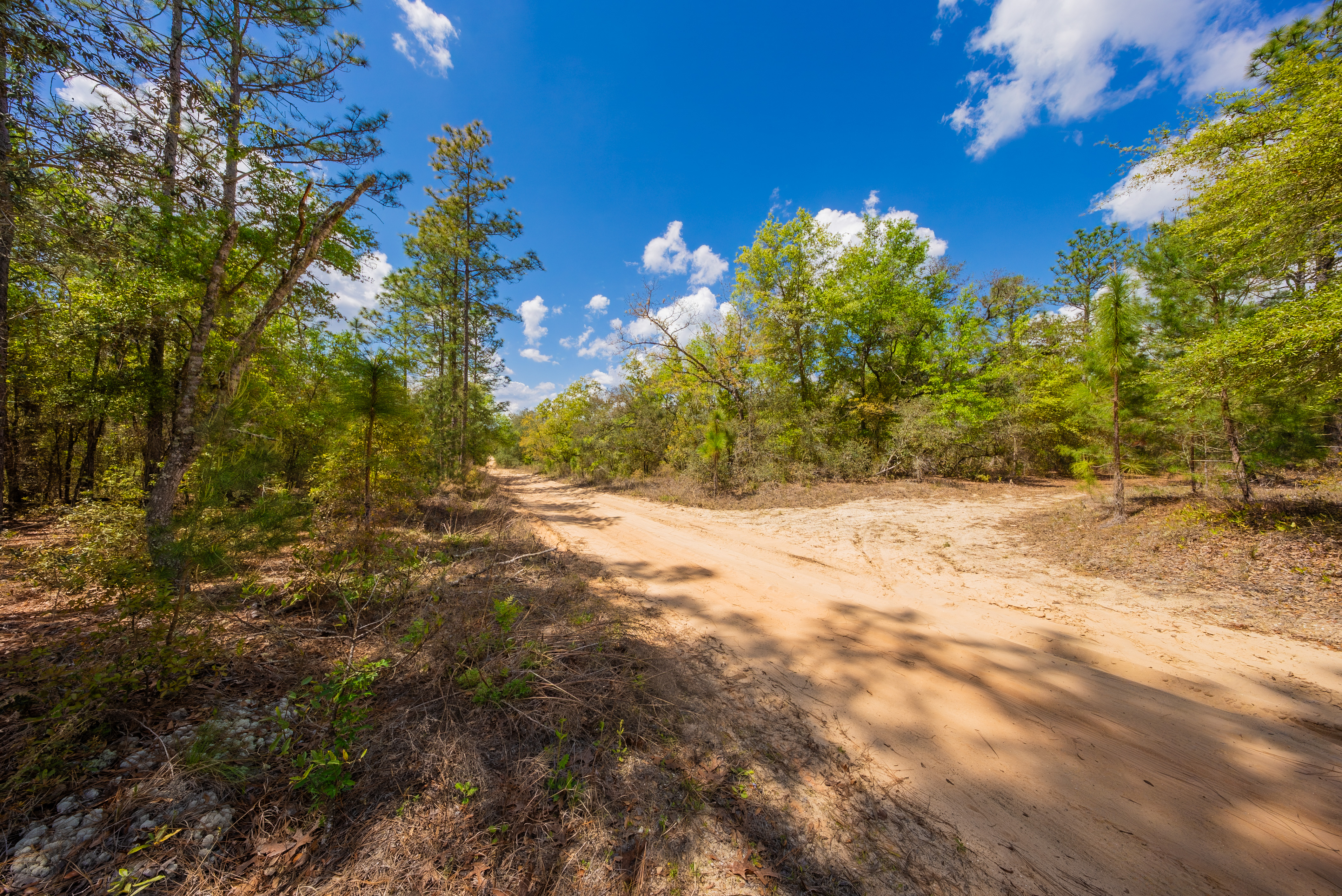 Property View 11