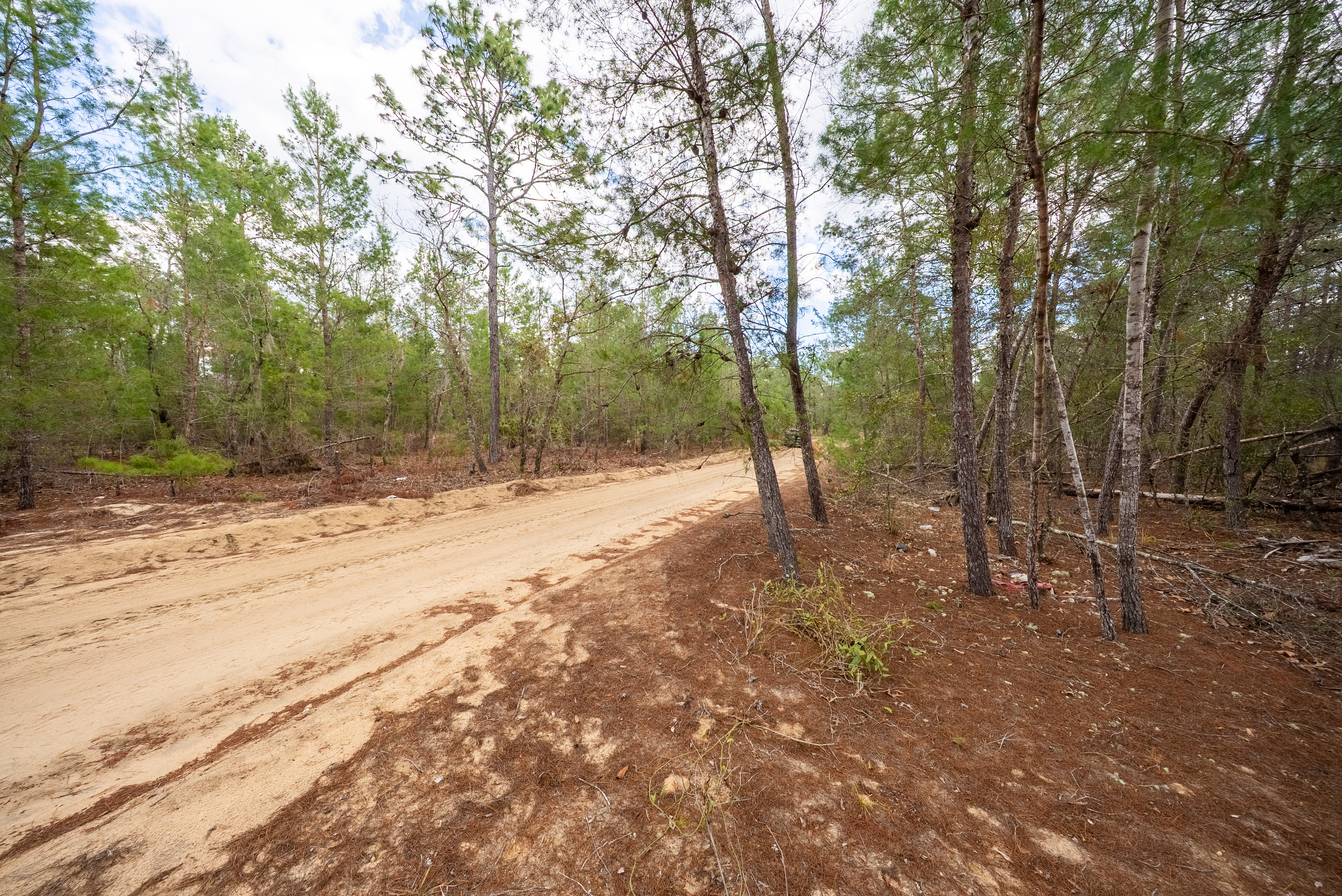 Property View 9