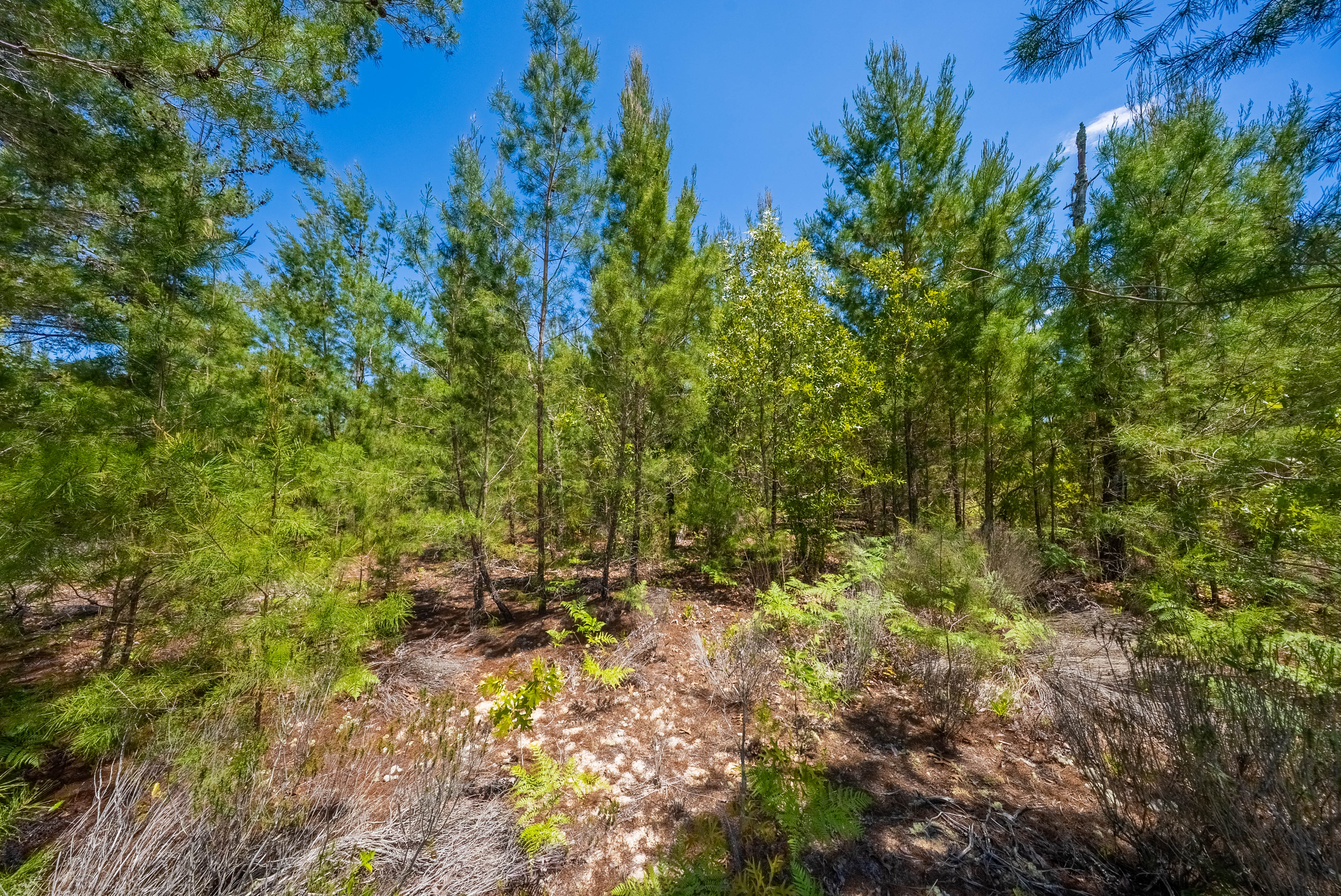 Property View 11
