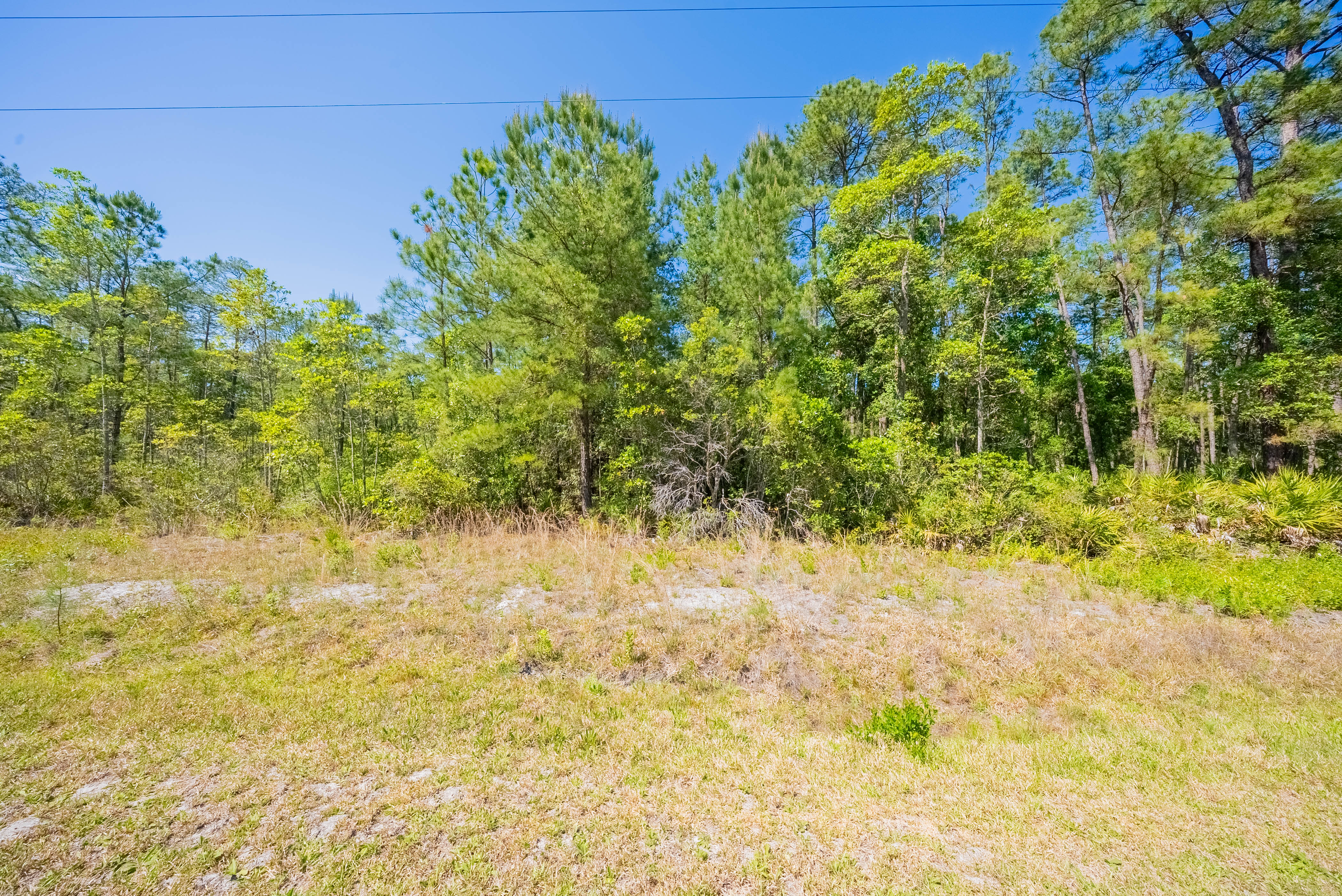 Property View 8