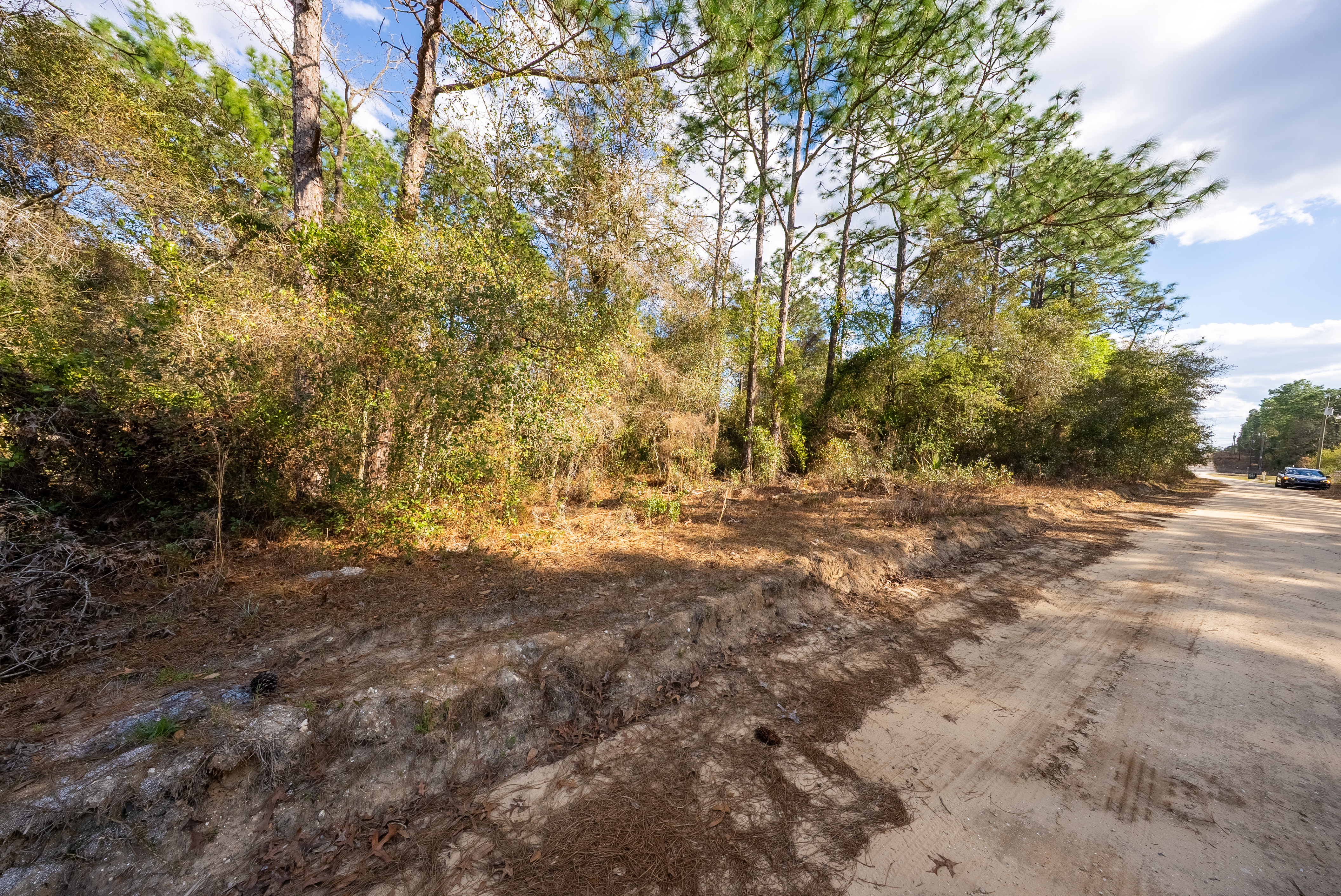 Property View 9