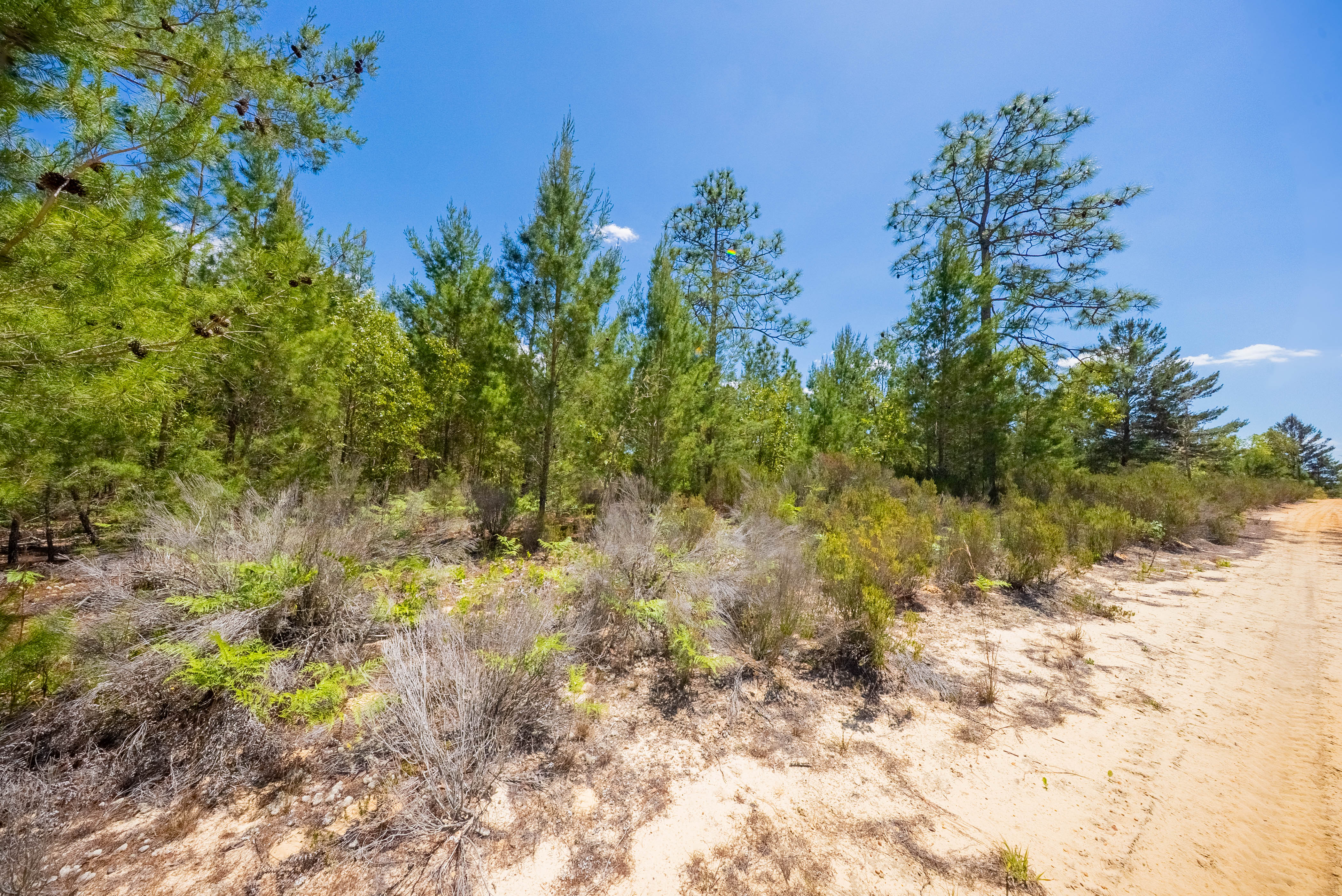 Property View 10