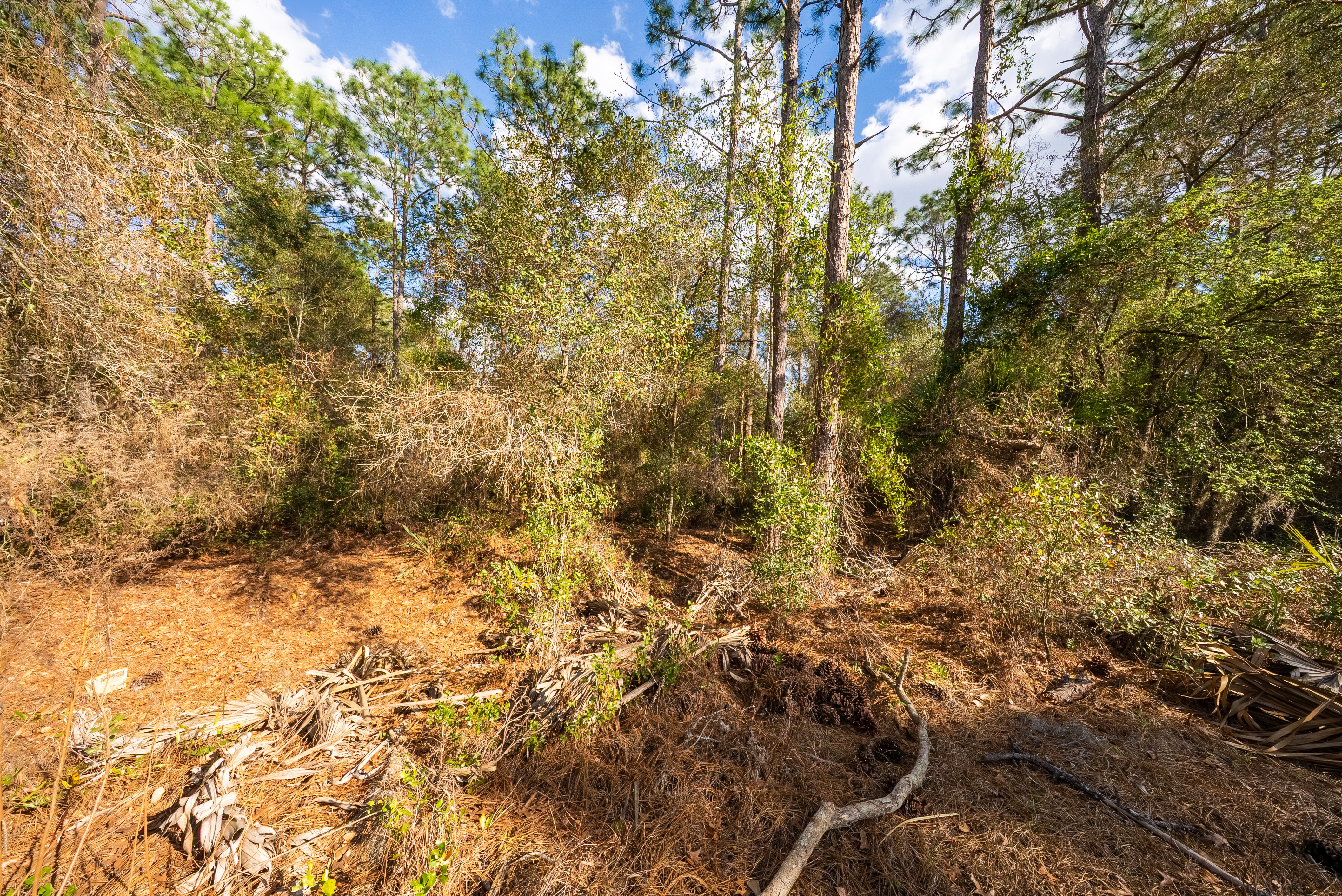 Property View 10
