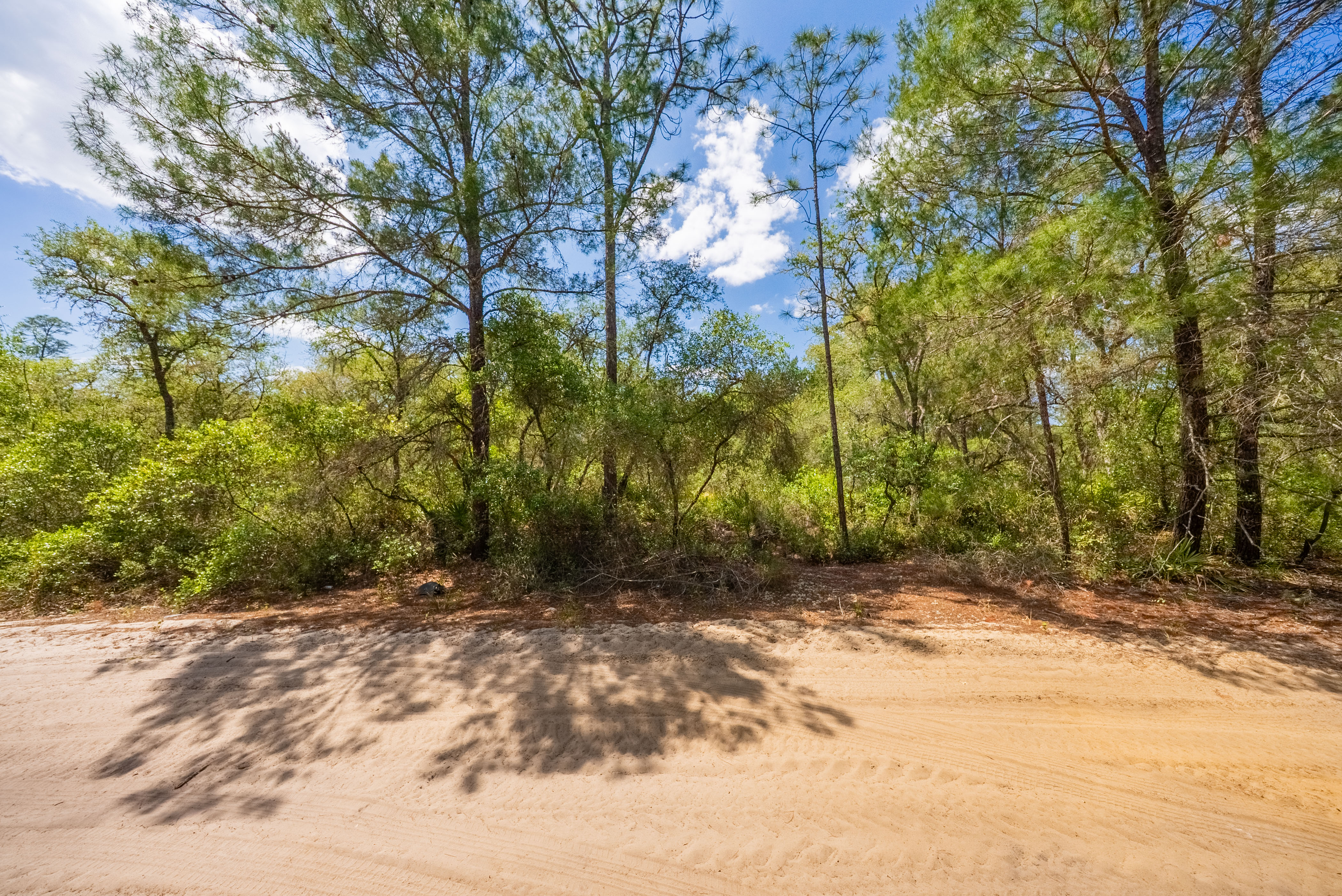 Property View 11