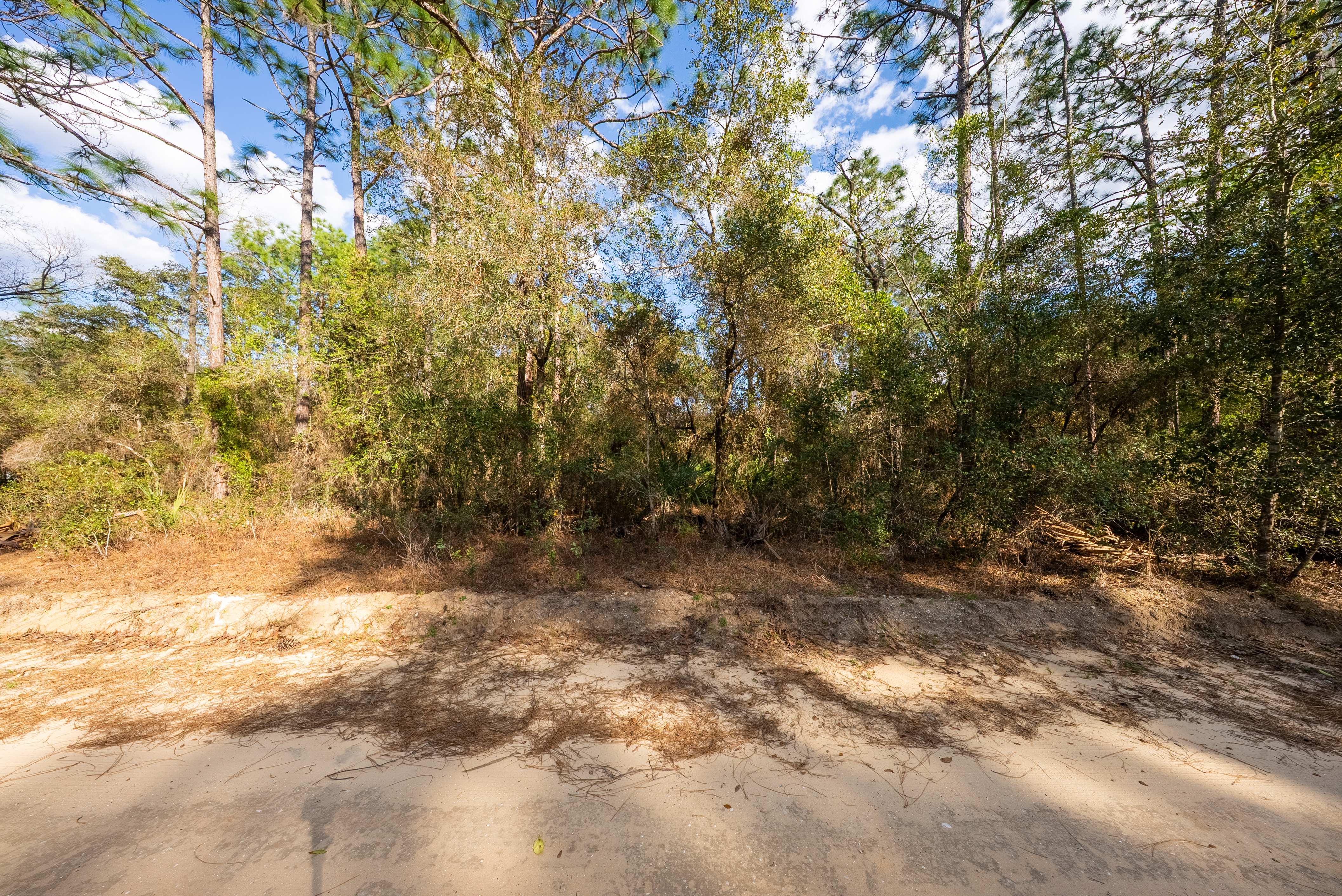 Property View 8