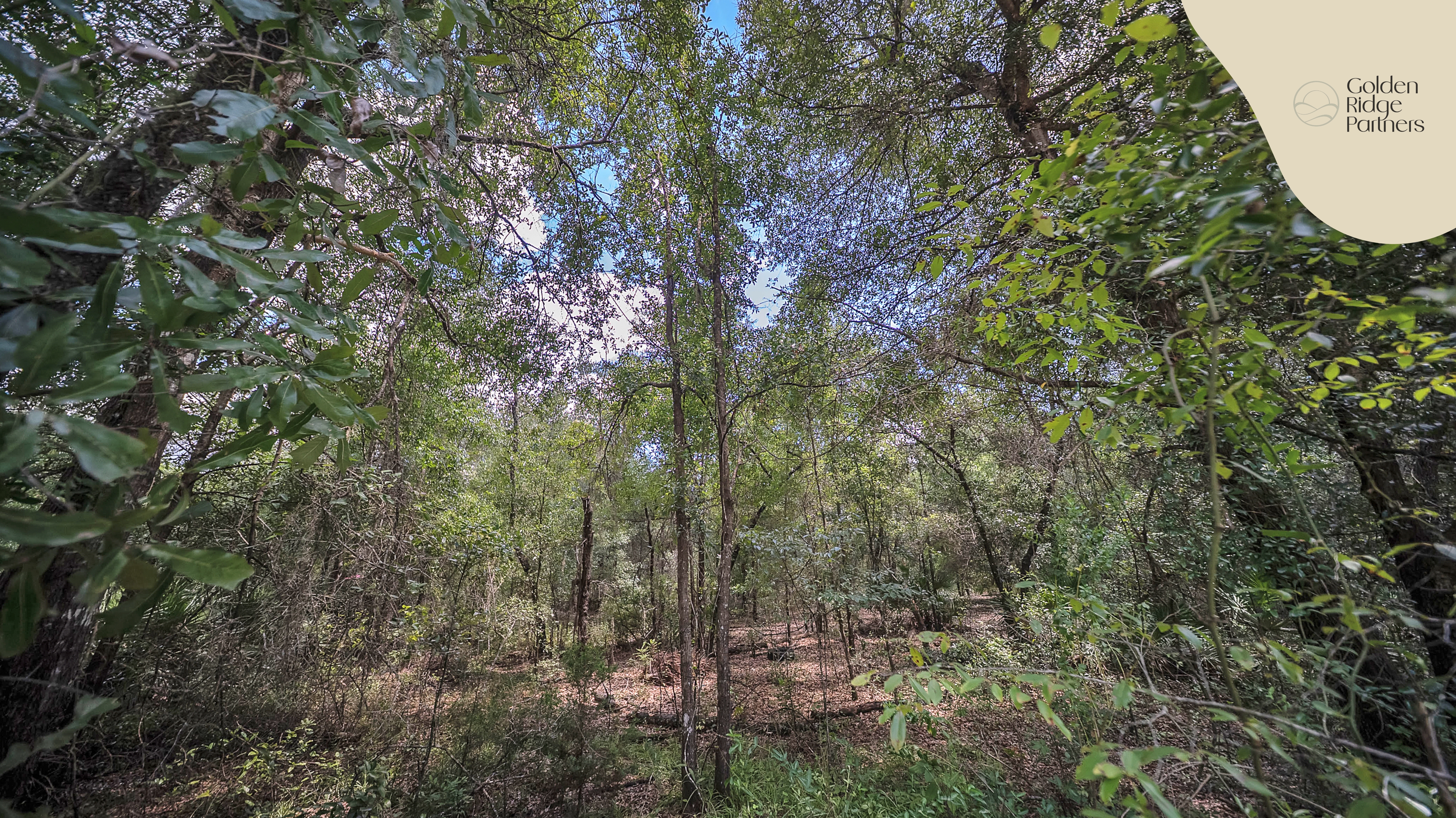 Property View 8