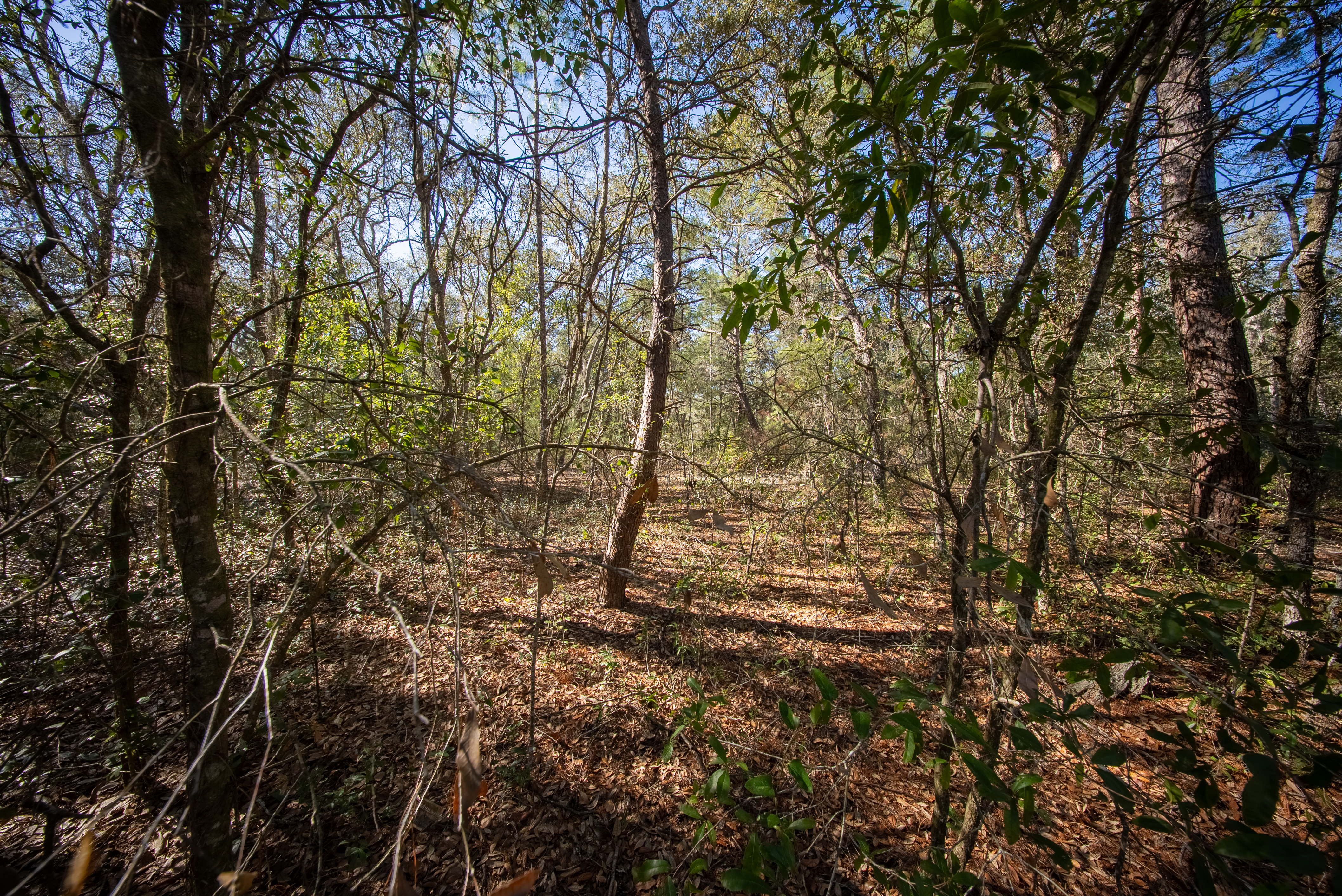 Property View 15