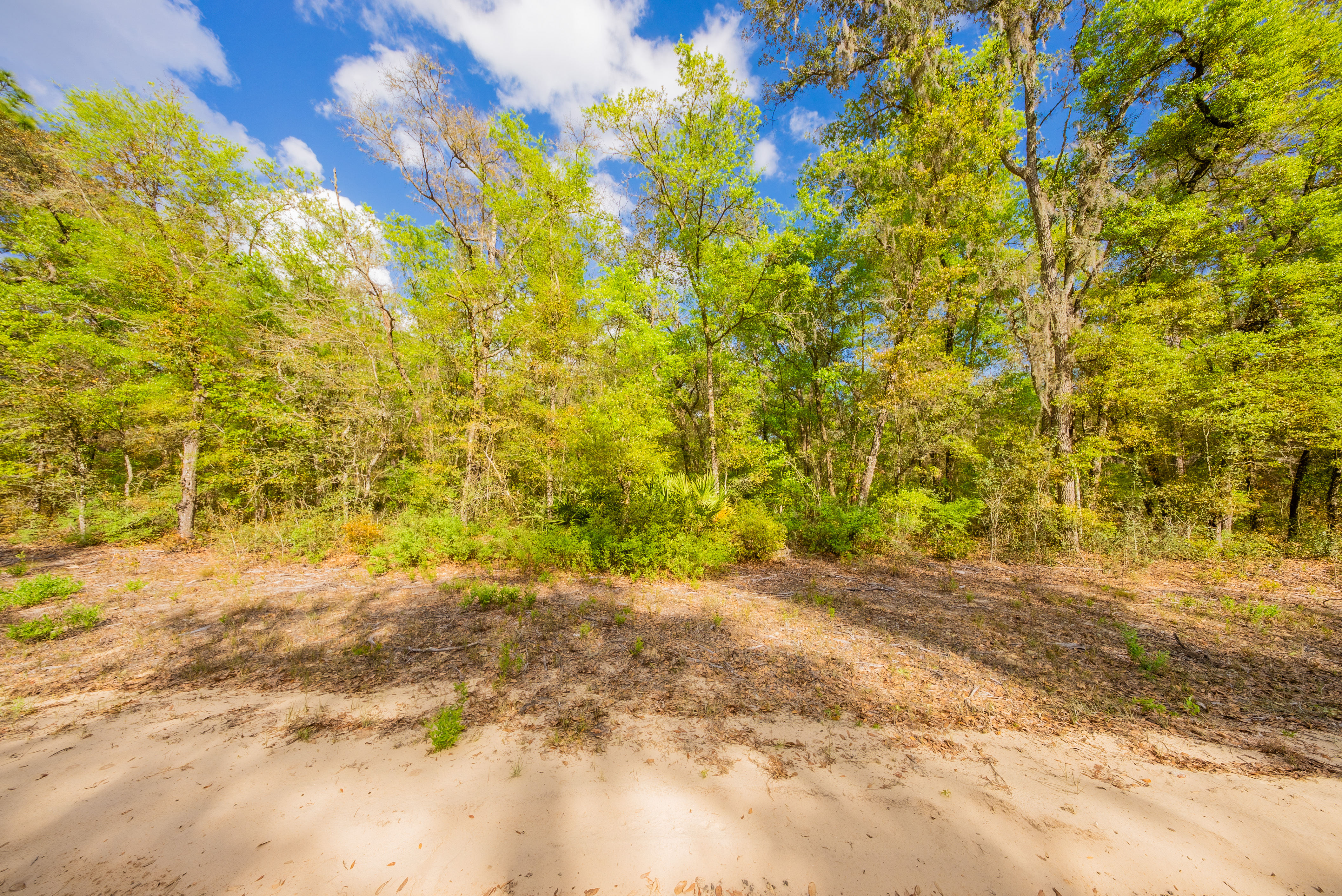 Property View 11