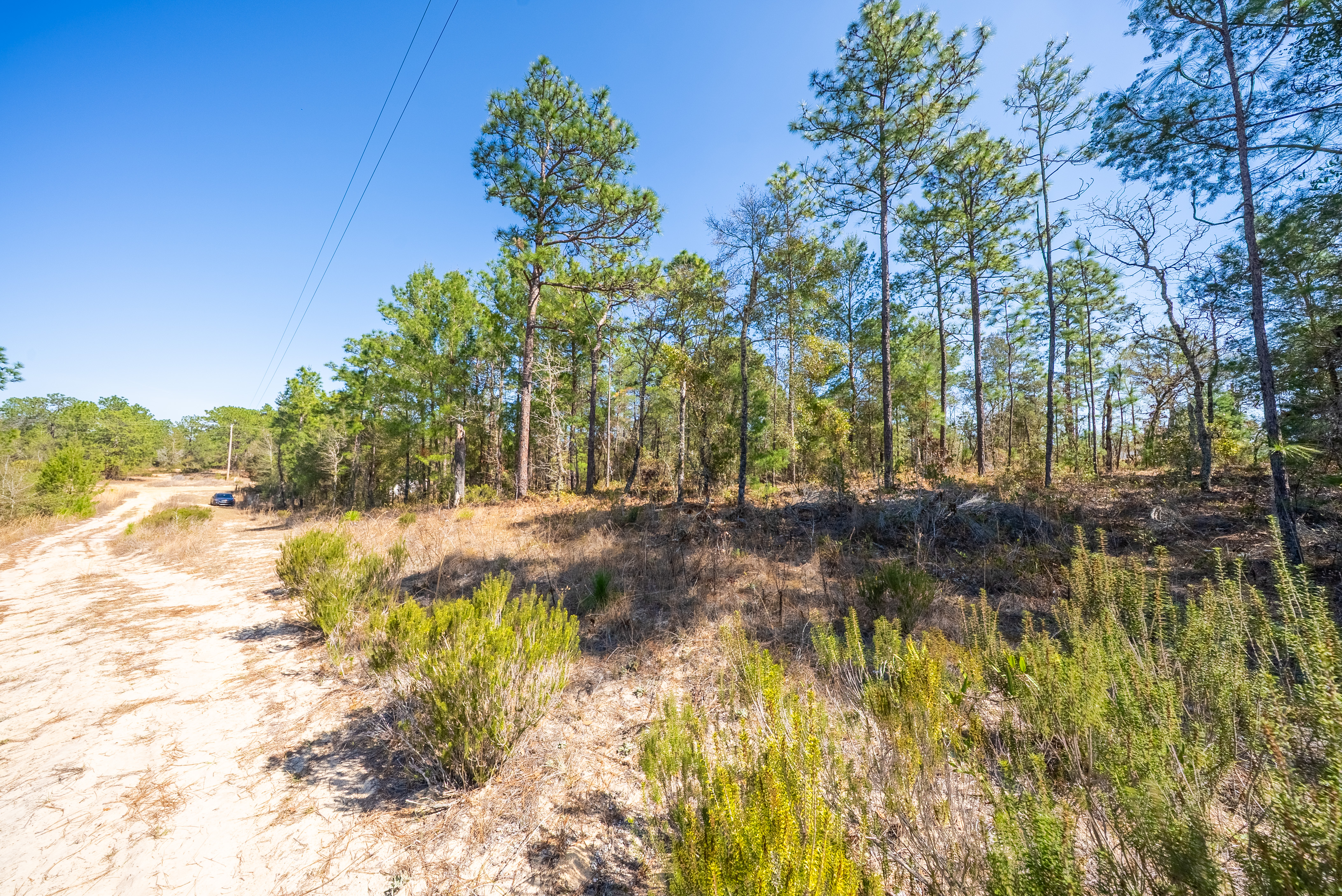Property View 6