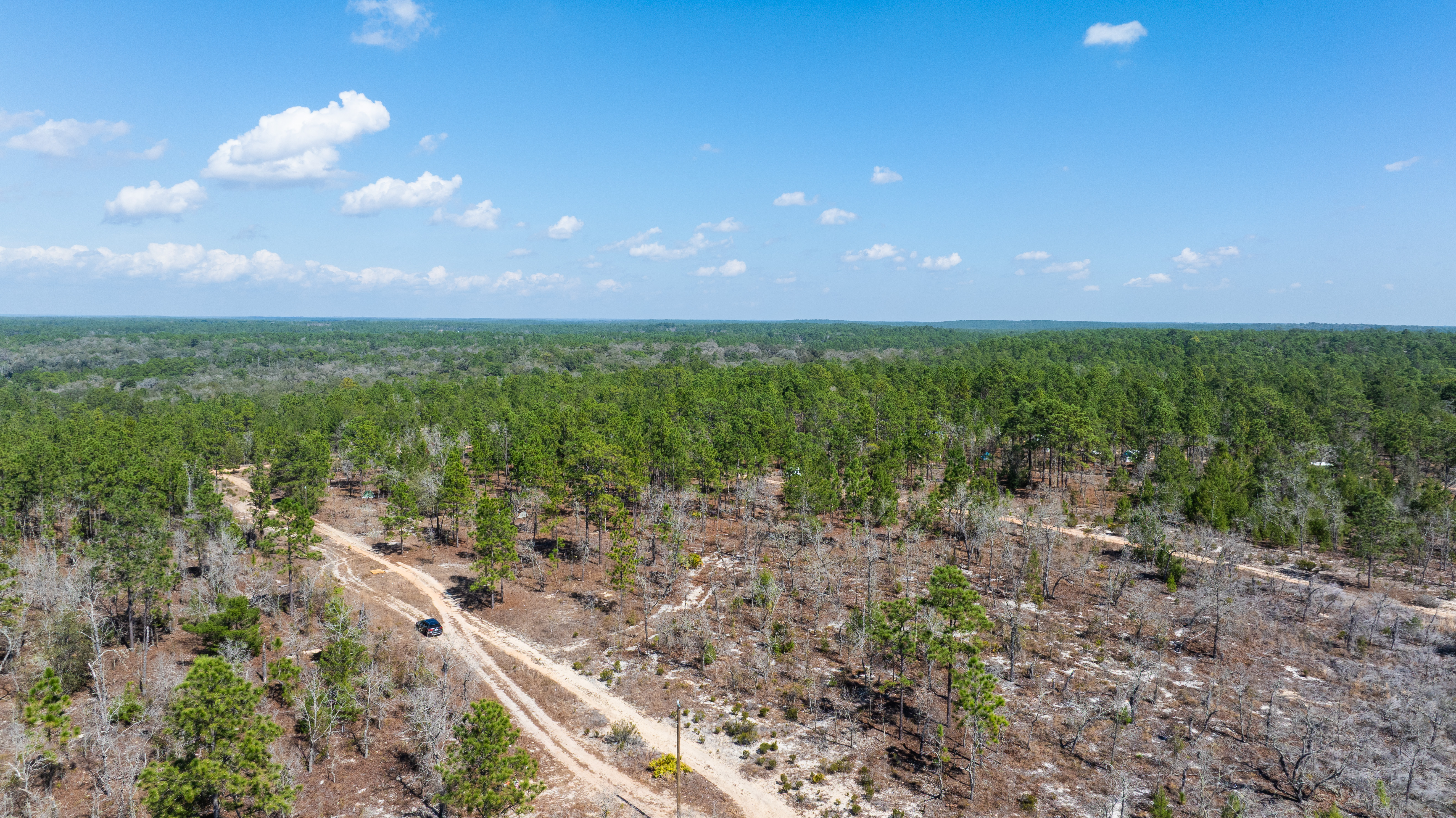 Property View 7