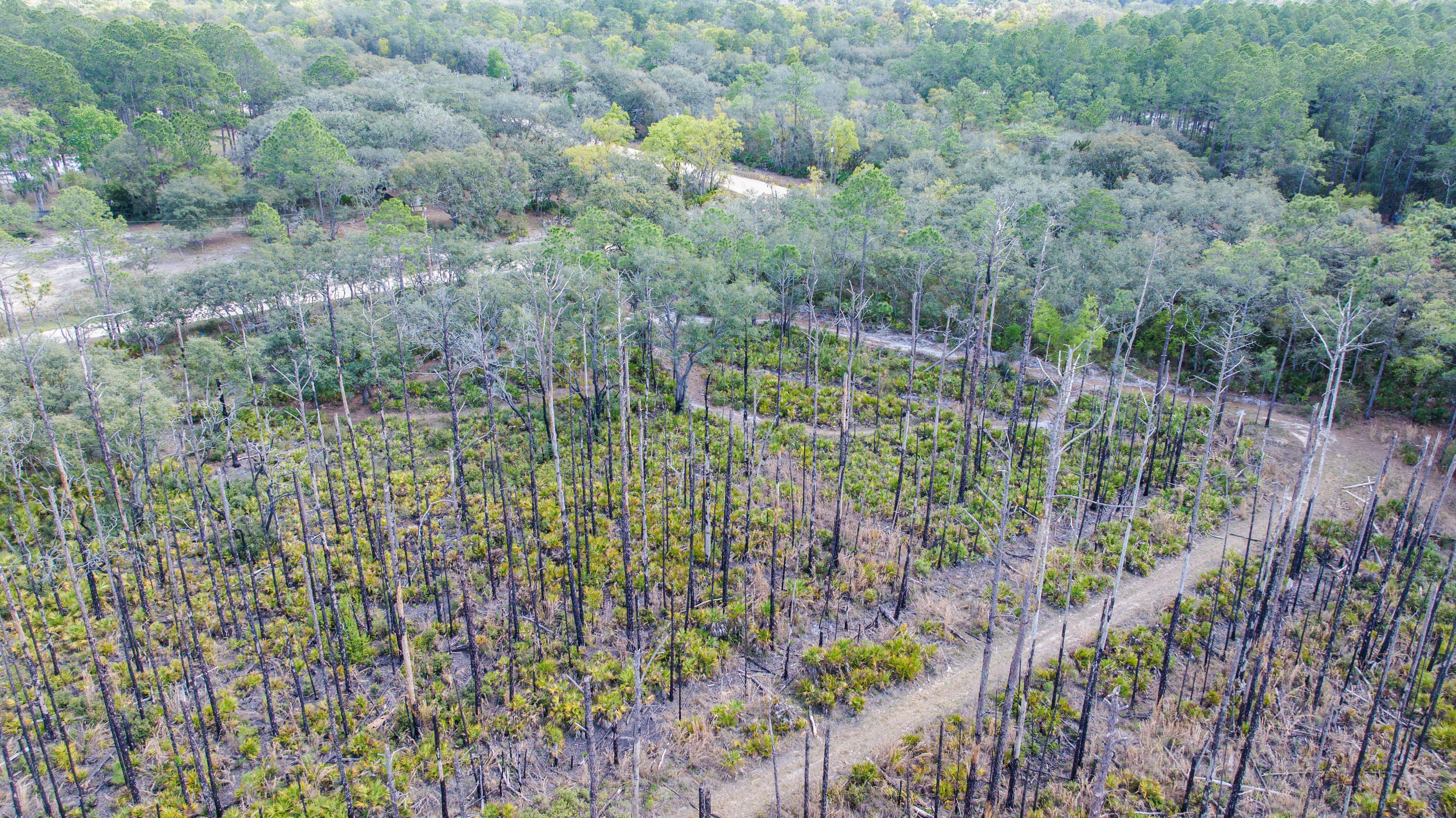 Property View 9